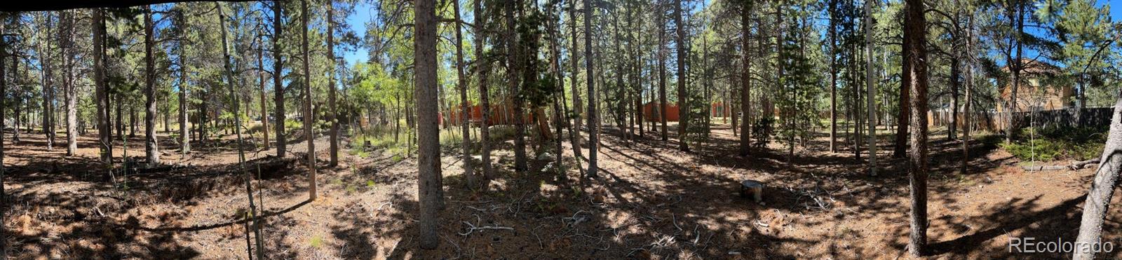 MLS Image #37 for 30  debra ann road,golden, Colorado