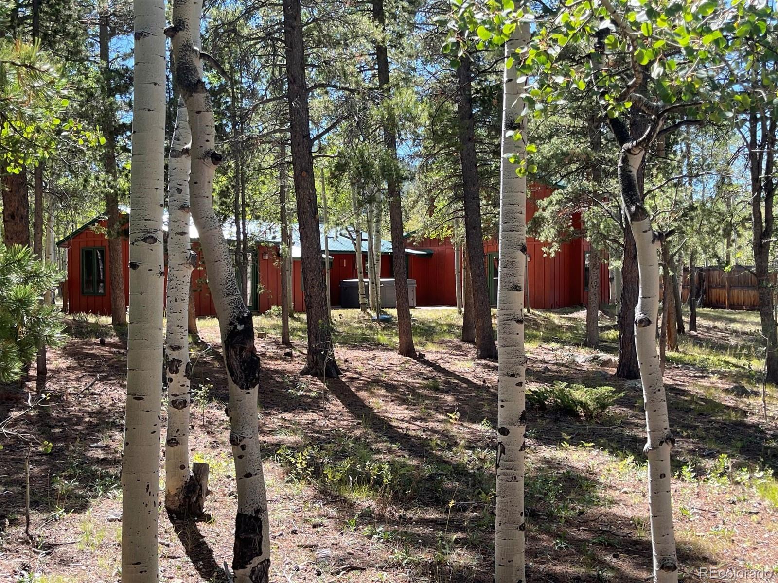 MLS Image #5 for 30  debra ann road,golden, Colorado