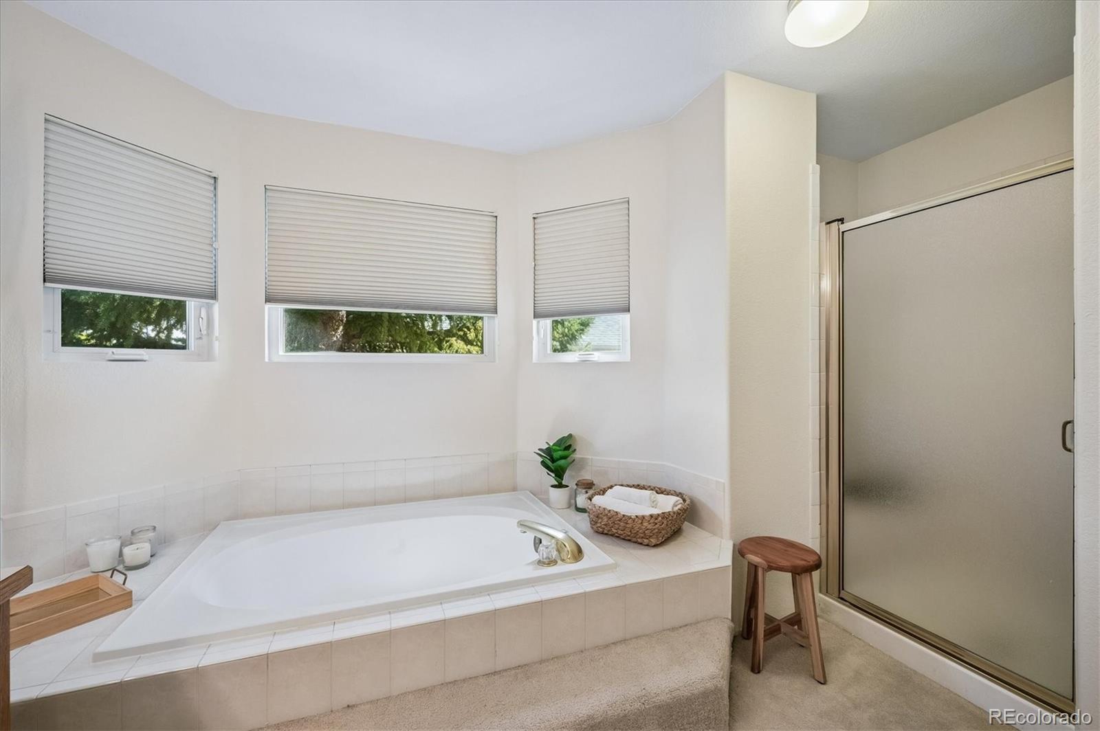 MLS Image #19 for 10737 w cooper drive,littleton, Colorado
