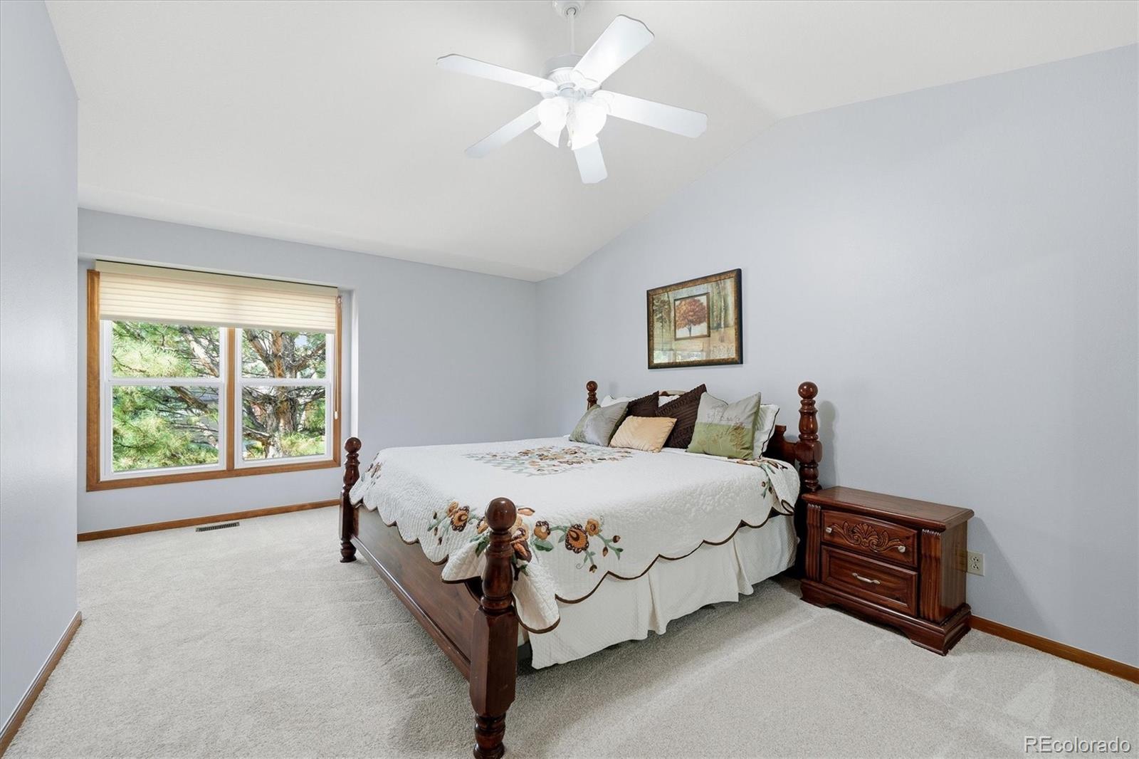 MLS Image #25 for 159  willowleaf drive,littleton, Colorado