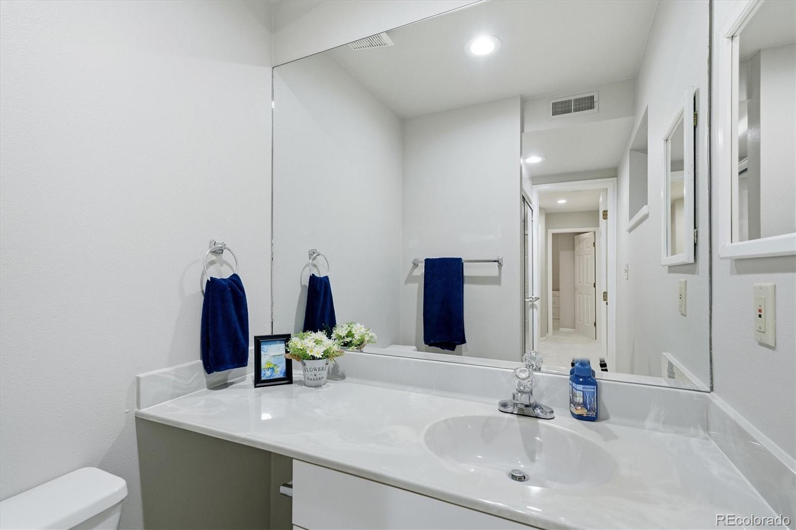 MLS Image #45 for 159  willowleaf drive,littleton, Colorado