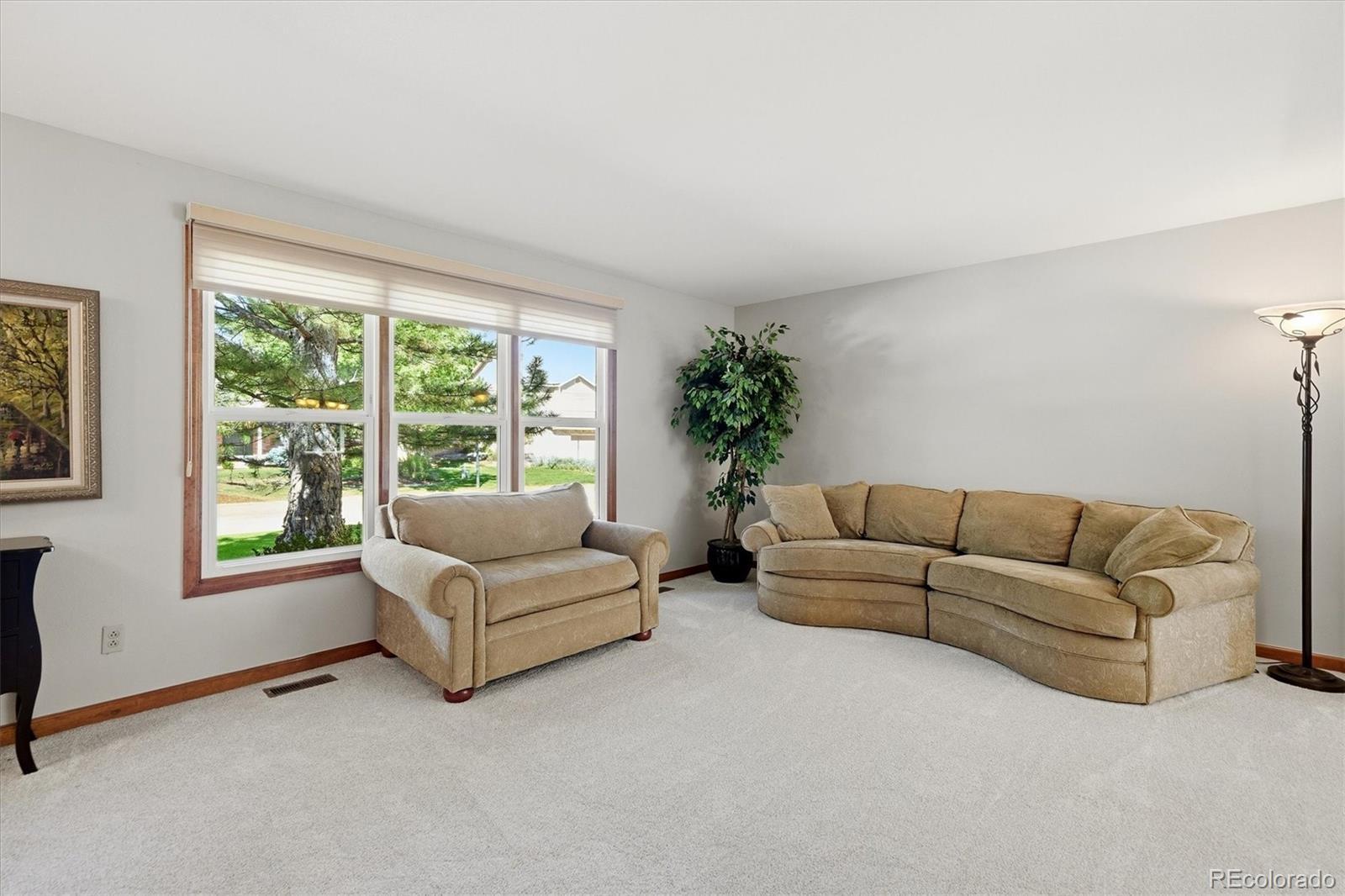 MLS Image #5 for 159  willowleaf drive,littleton, Colorado