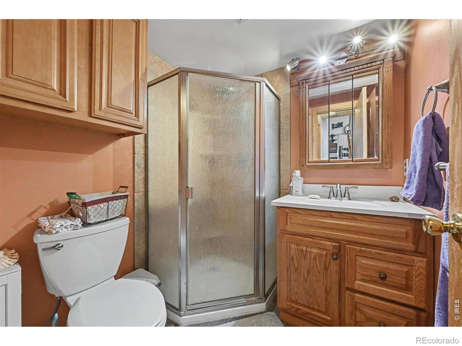 MLS Image #18 for 3038  hewlett gulch road,livermore, Colorado