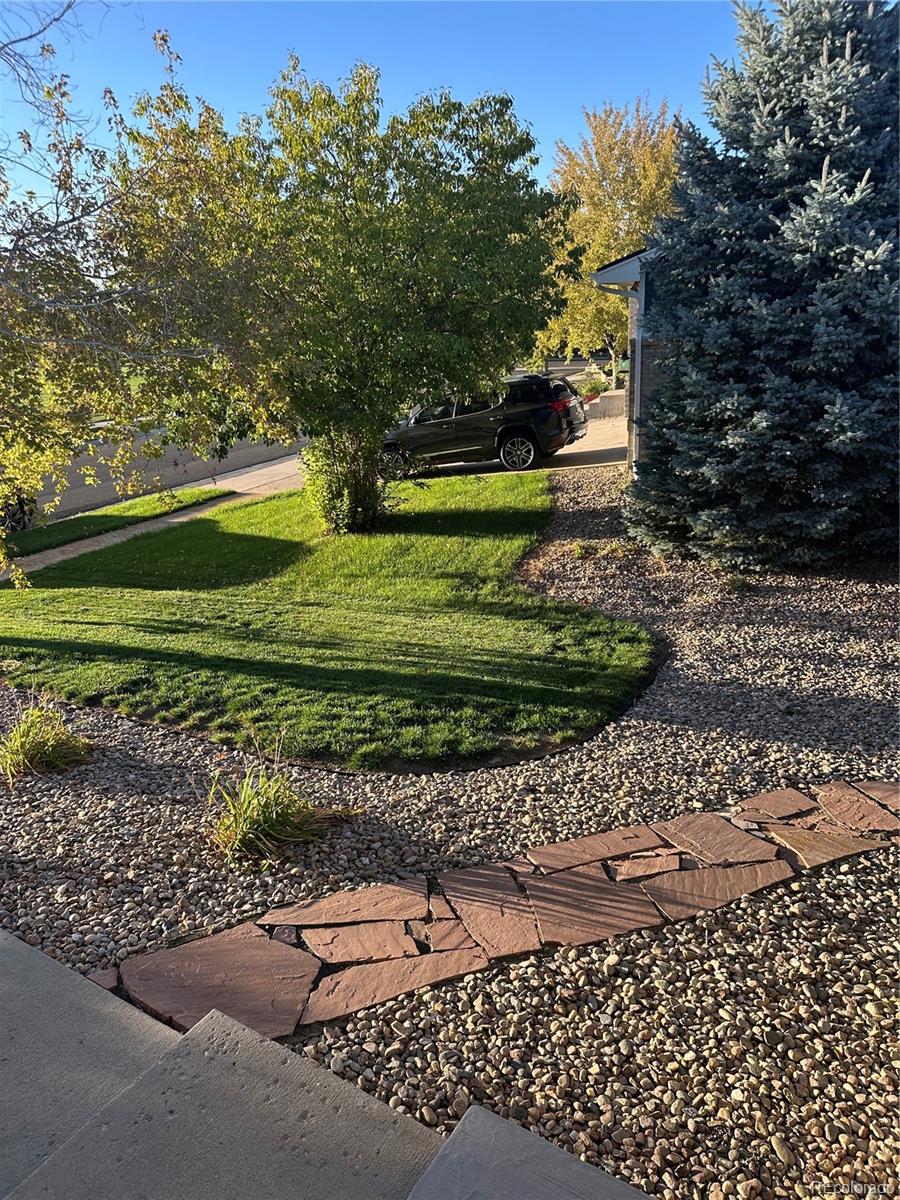 MLS Image #3 for 650  wind rower court,brighton, Colorado