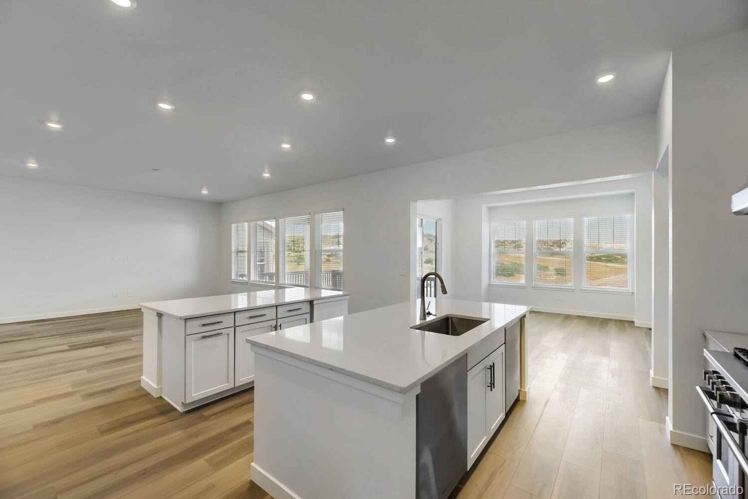 MLS Image #3 for 4193  buttongrass trail,castle rock, Colorado