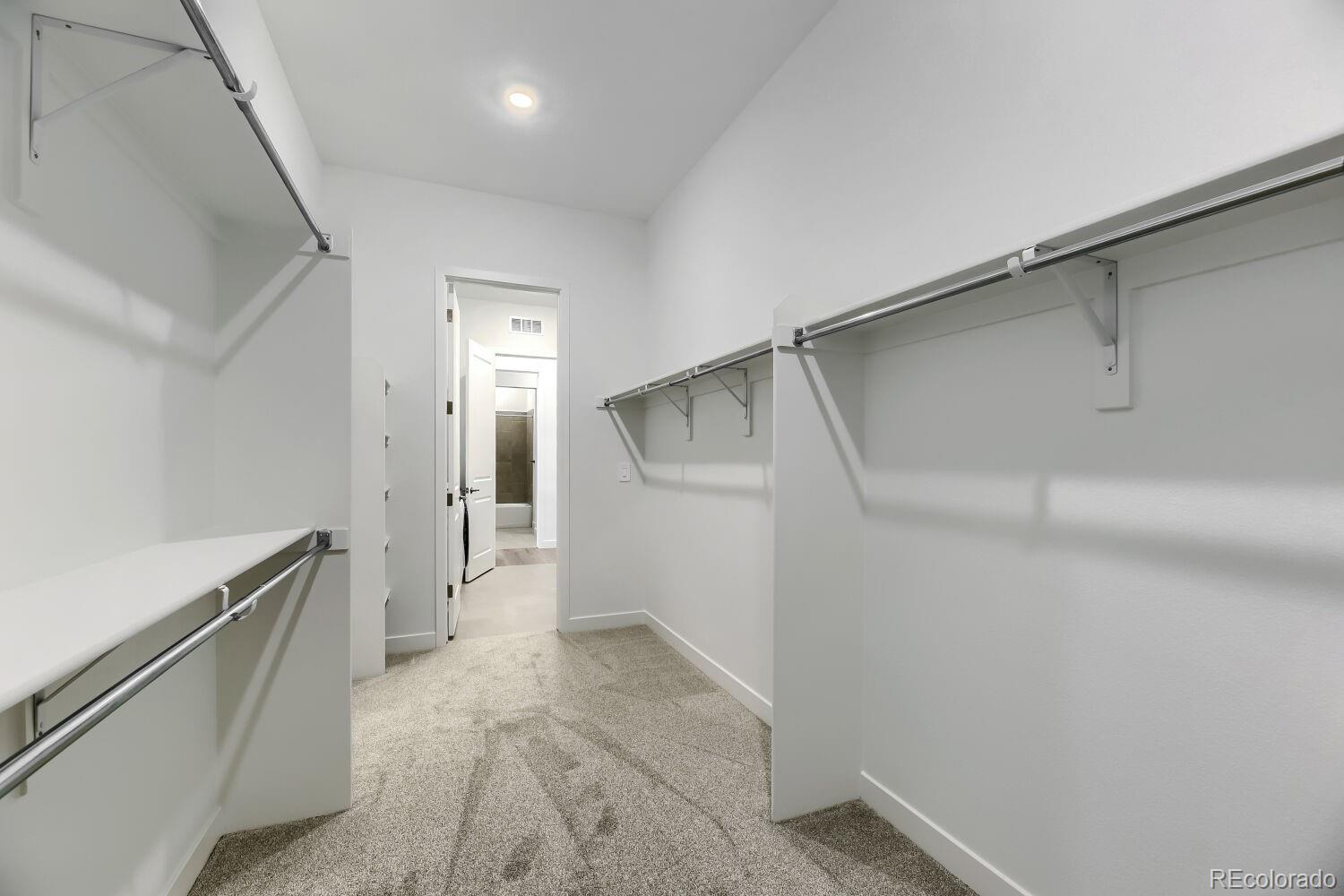 MLS Image #8 for 4193  buttongrass trail,castle rock, Colorado