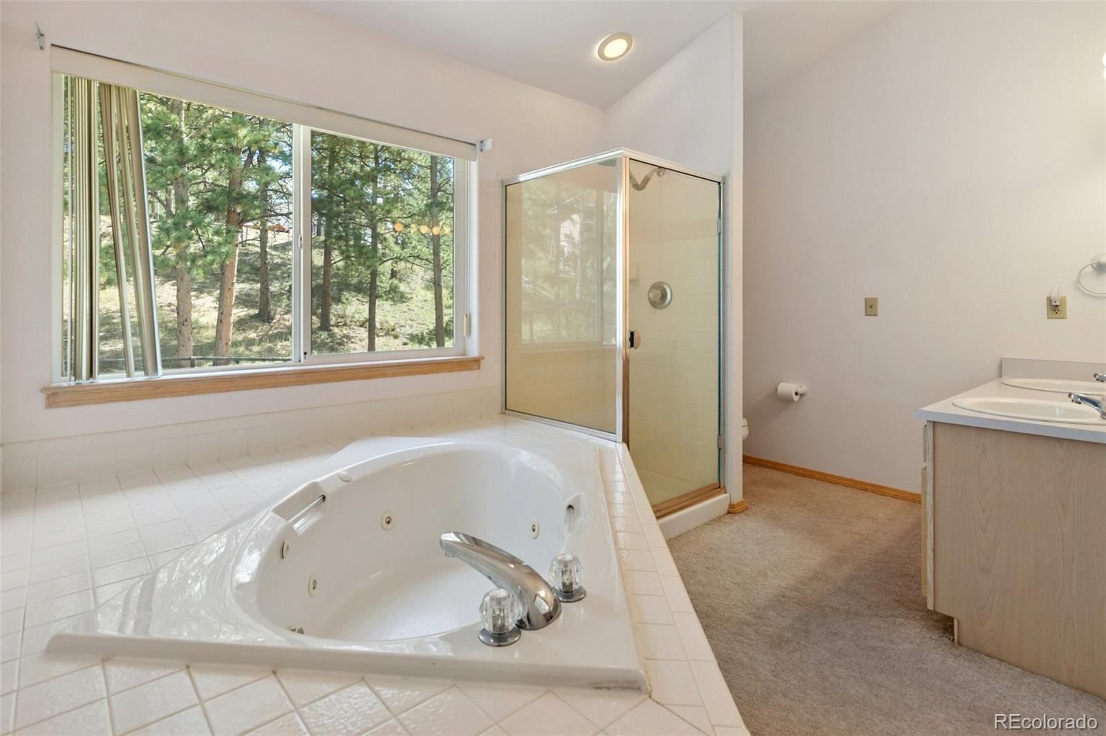 MLS Image #18 for 625  sun valley drive,woodland park, Colorado