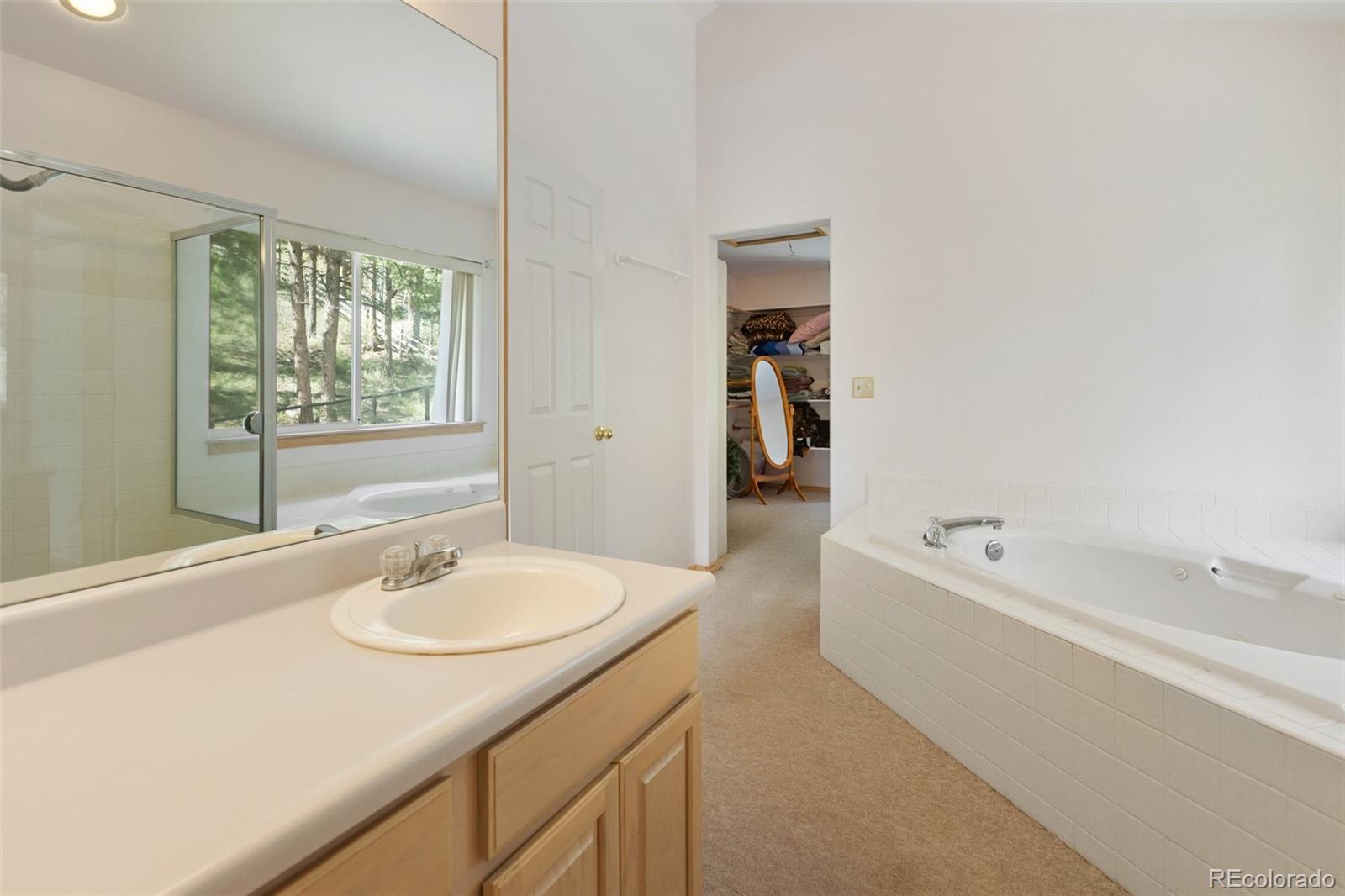 MLS Image #19 for 625  sun valley drive,woodland park, Colorado