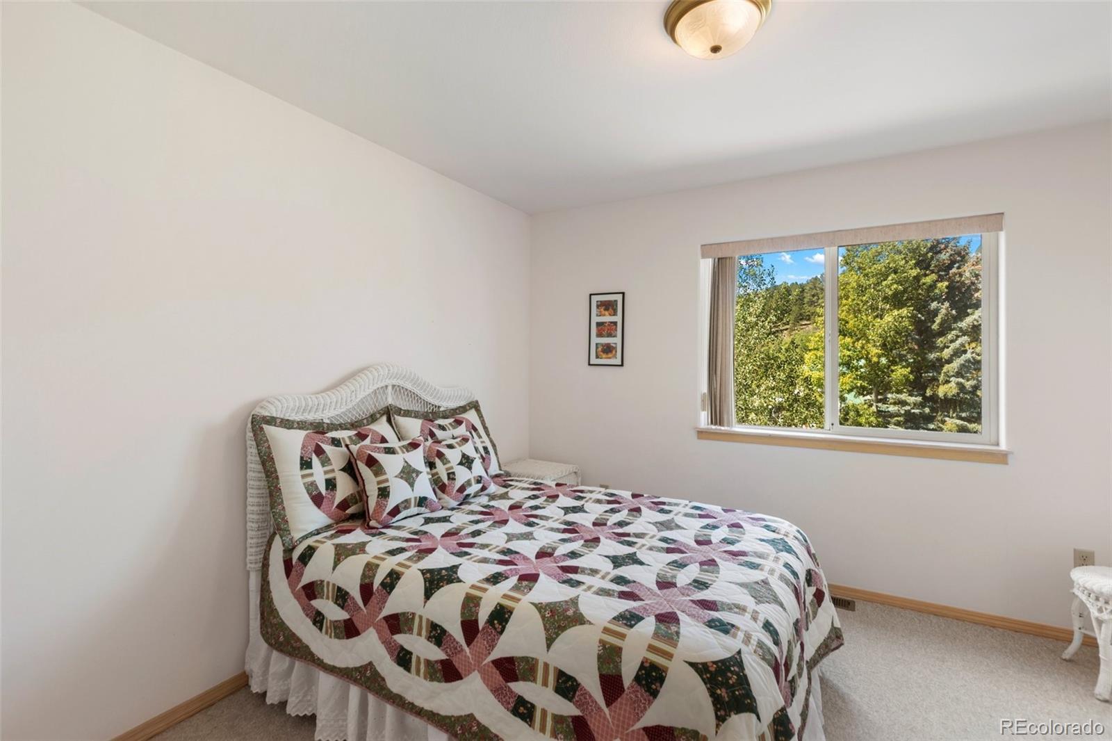 MLS Image #21 for 625  sun valley drive,woodland park, Colorado