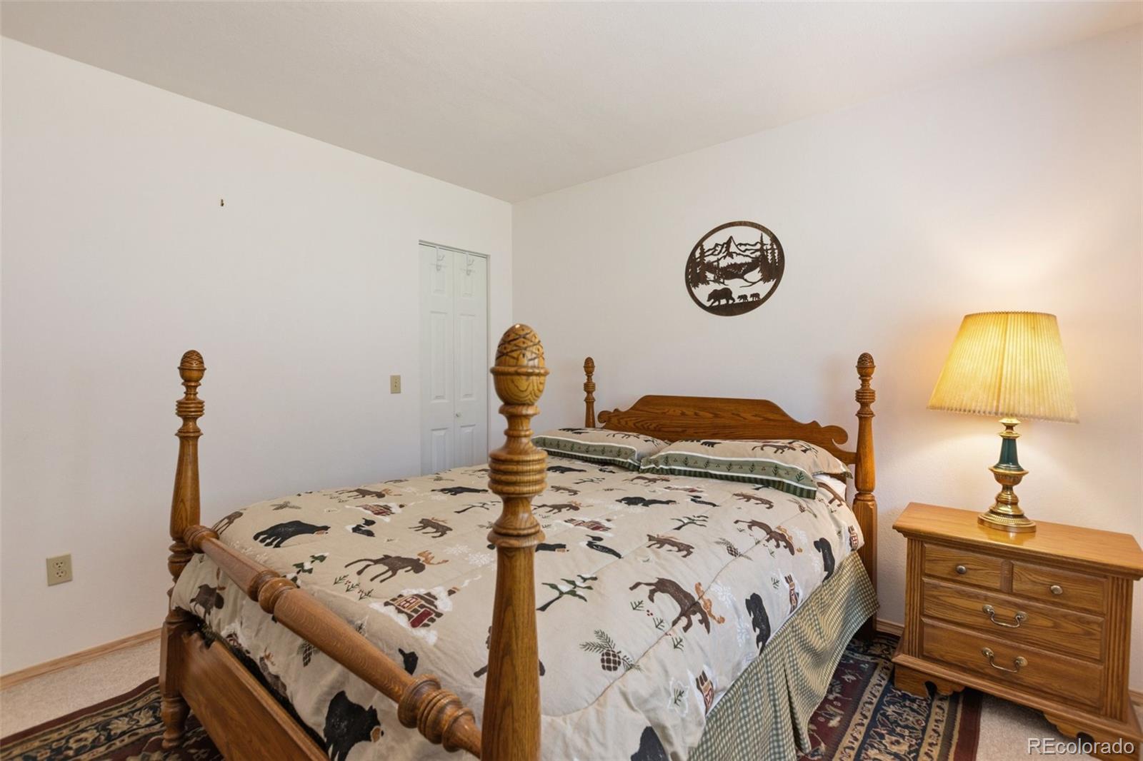 MLS Image #30 for 625  sun valley drive,woodland park, Colorado
