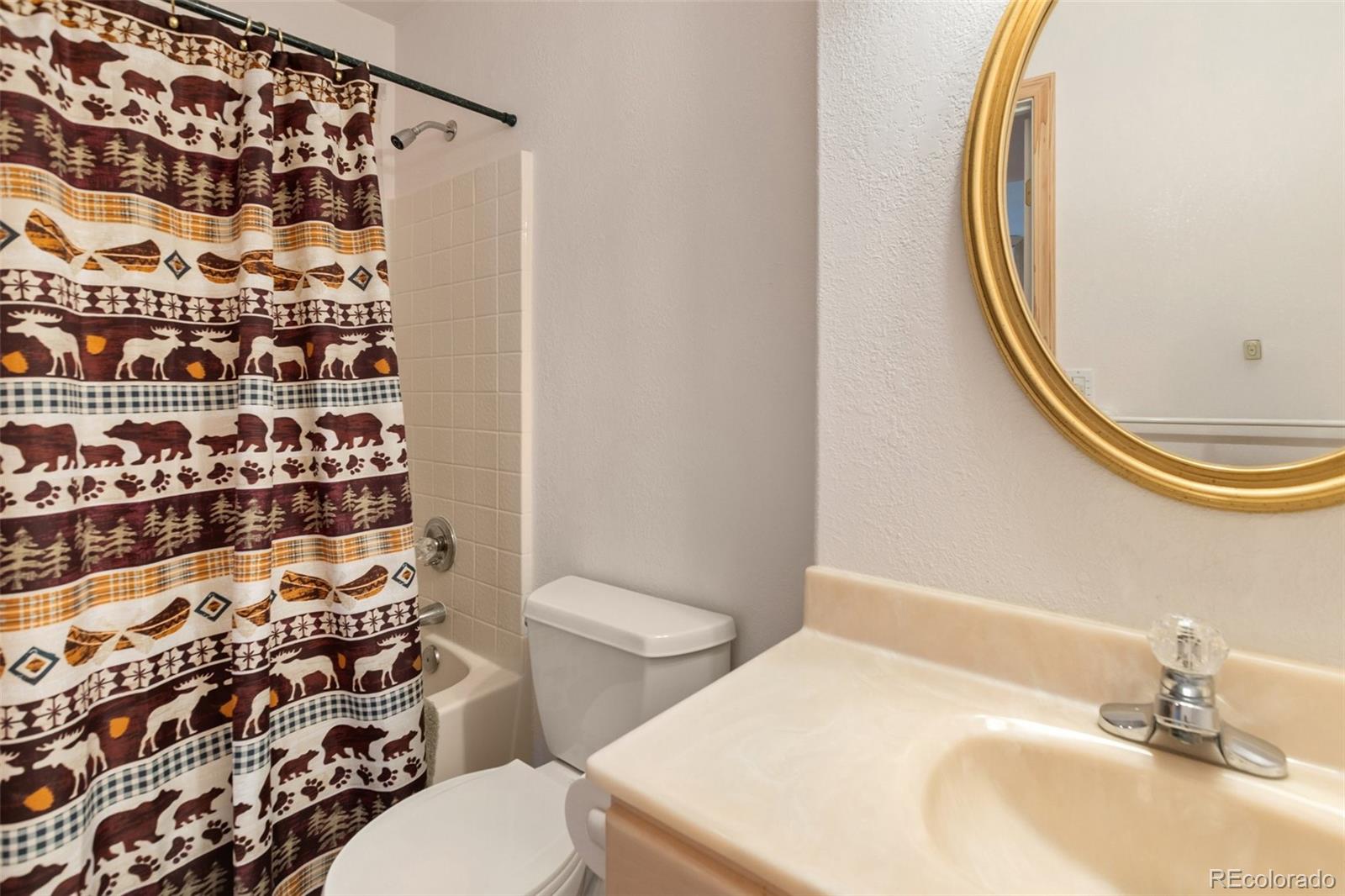 MLS Image #31 for 625  sun valley drive,woodland park, Colorado