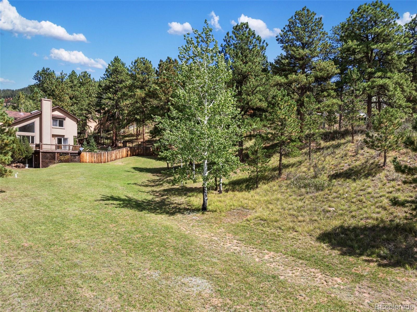 MLS Image #41 for 625  sun valley drive,woodland park, Colorado