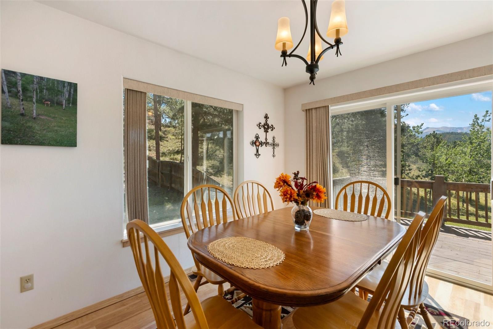 MLS Image #5 for 625  sun valley drive,woodland park, Colorado