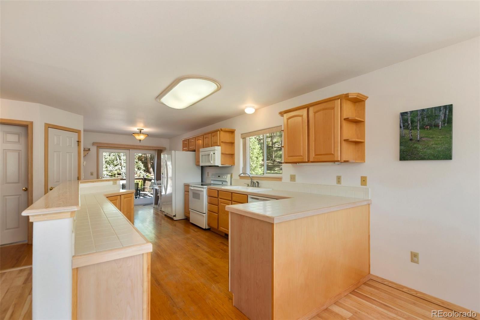 MLS Image #8 for 625  sun valley drive,woodland park, Colorado