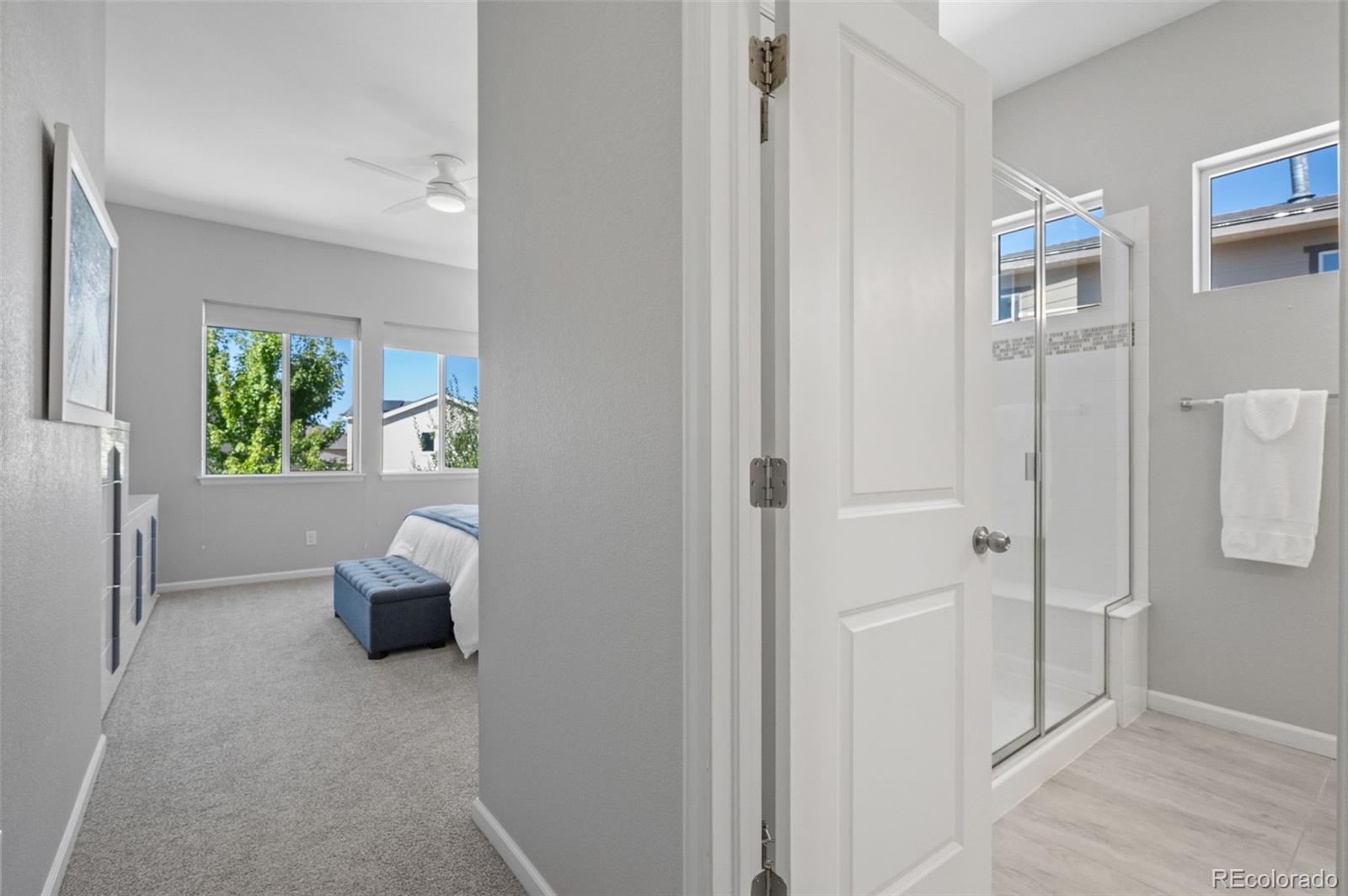 MLS Image #19 for 9235  blanca street,arvada, Colorado