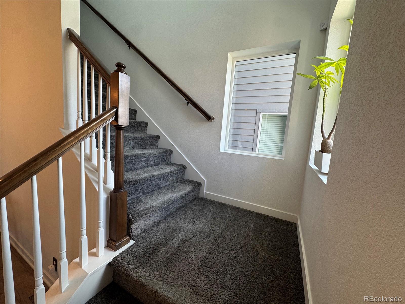 MLS Image #13 for 2007  alcott way,broomfield, Colorado