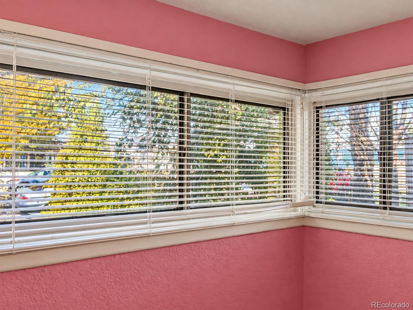 MLS Image #5 for 4144  saint paul street,denver, Colorado