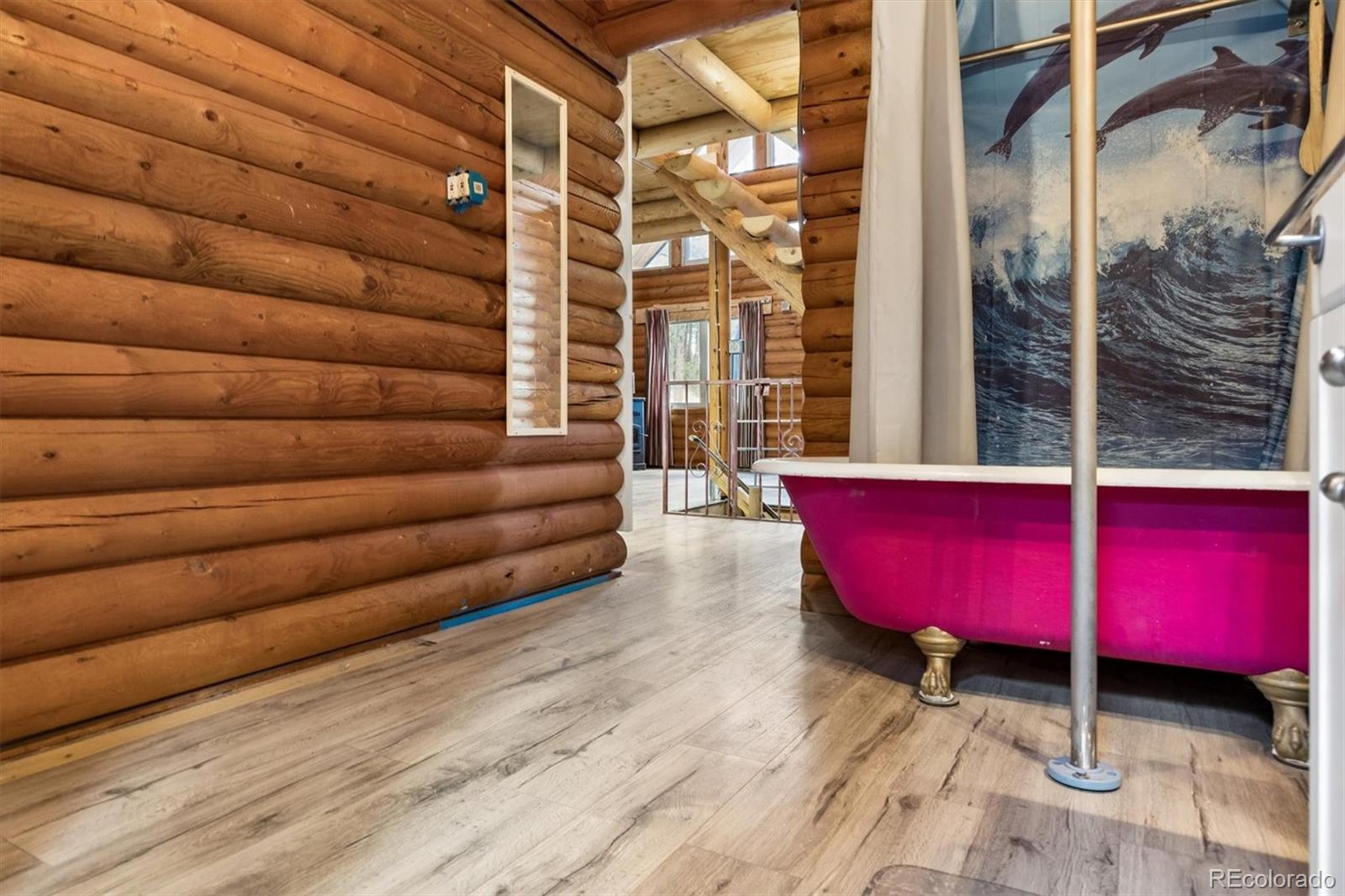 MLS Image #22 for 168  columbine street,larkspur, Colorado