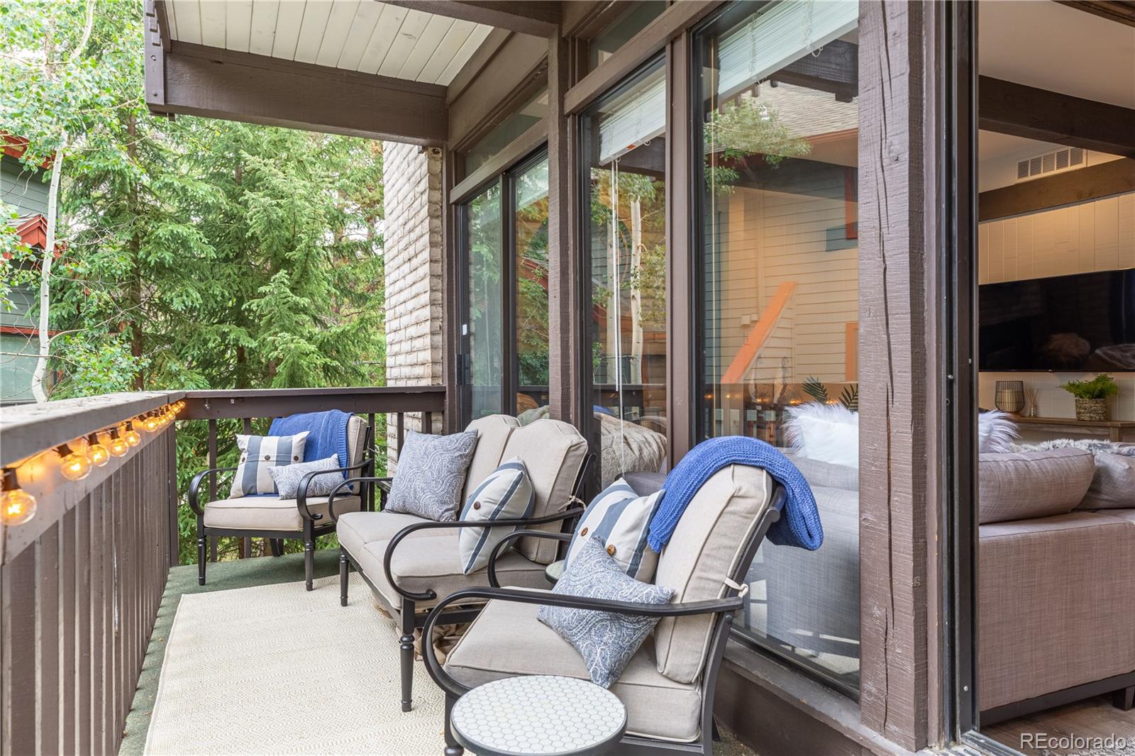 MLS Image #14 for 935  columbine road 206,breckenridge, Colorado