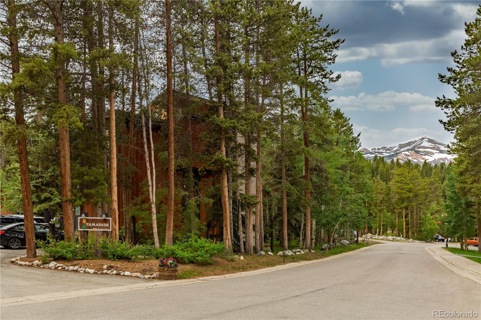 MLS Image #15 for 935  columbine road 206,breckenridge, Colorado