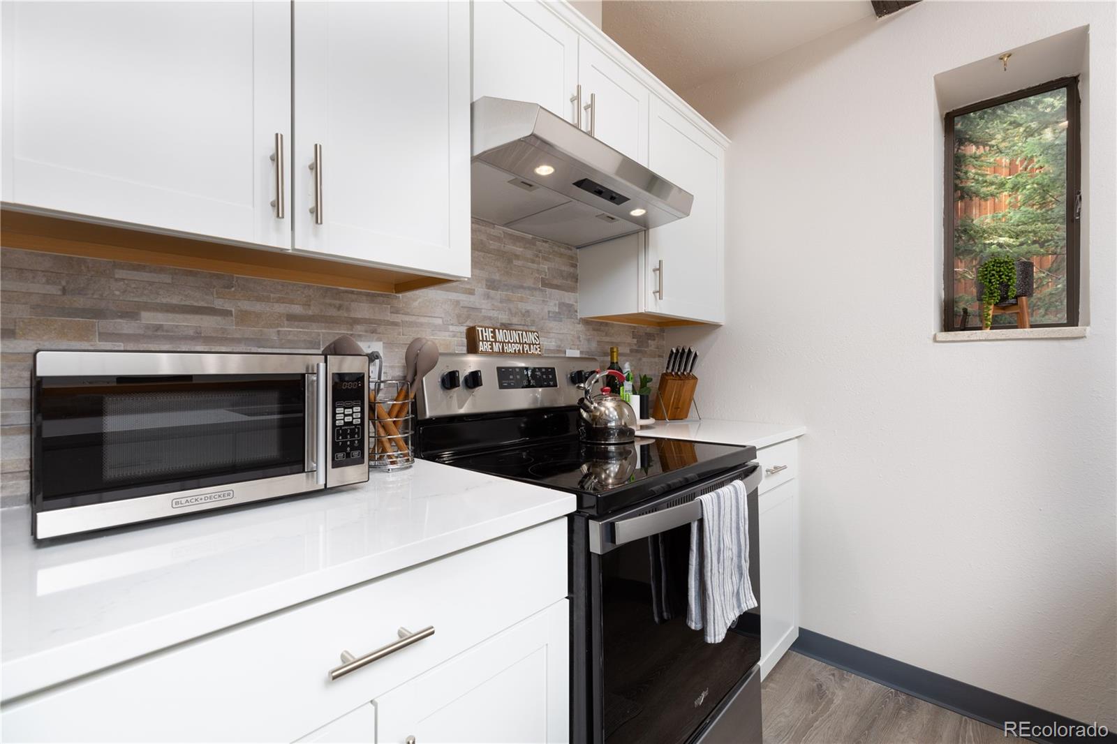 MLS Image #8 for 935  columbine road 206,breckenridge, Colorado