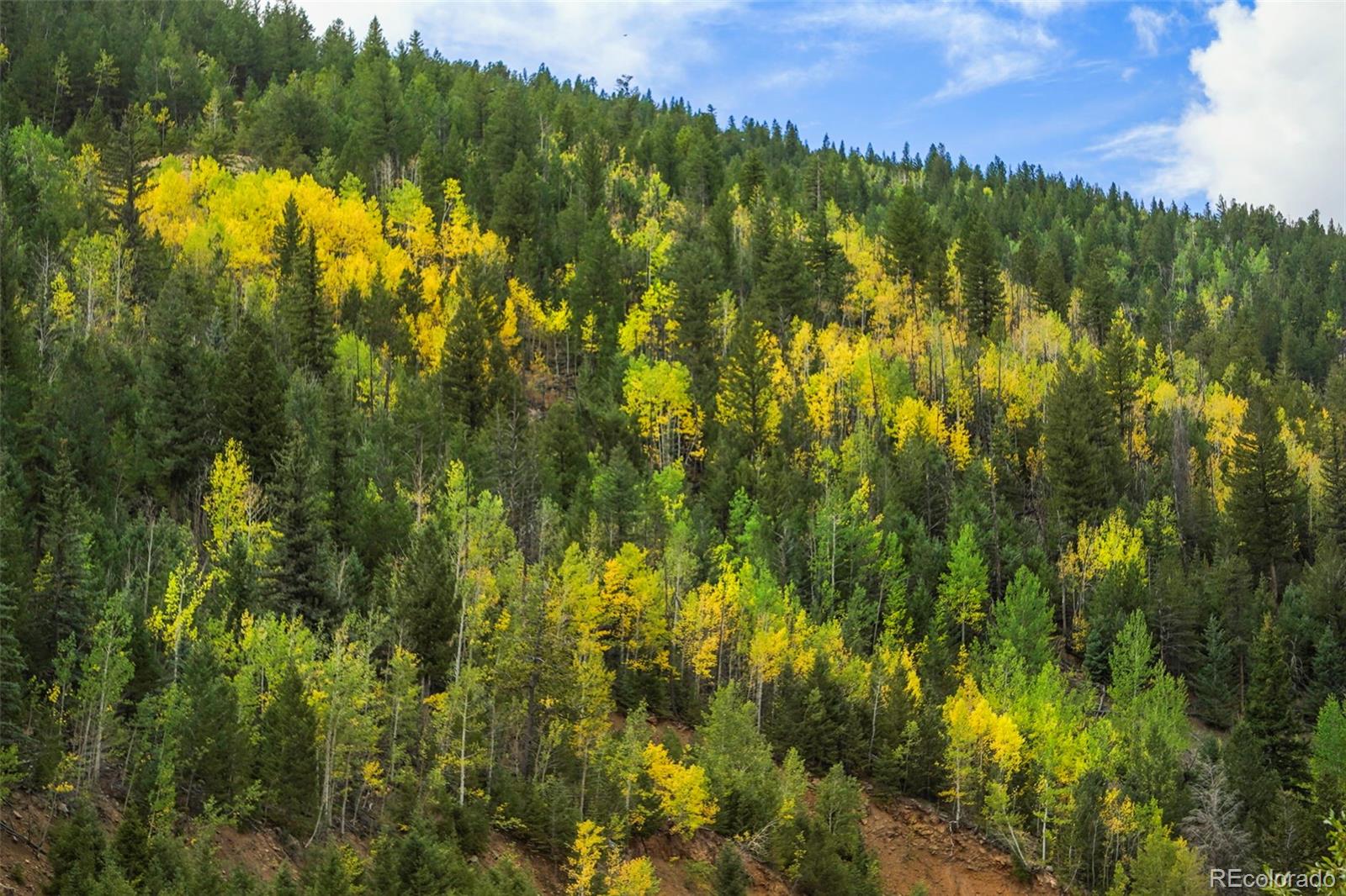 MLS Image #21 for 251  high street,black hawk, Colorado