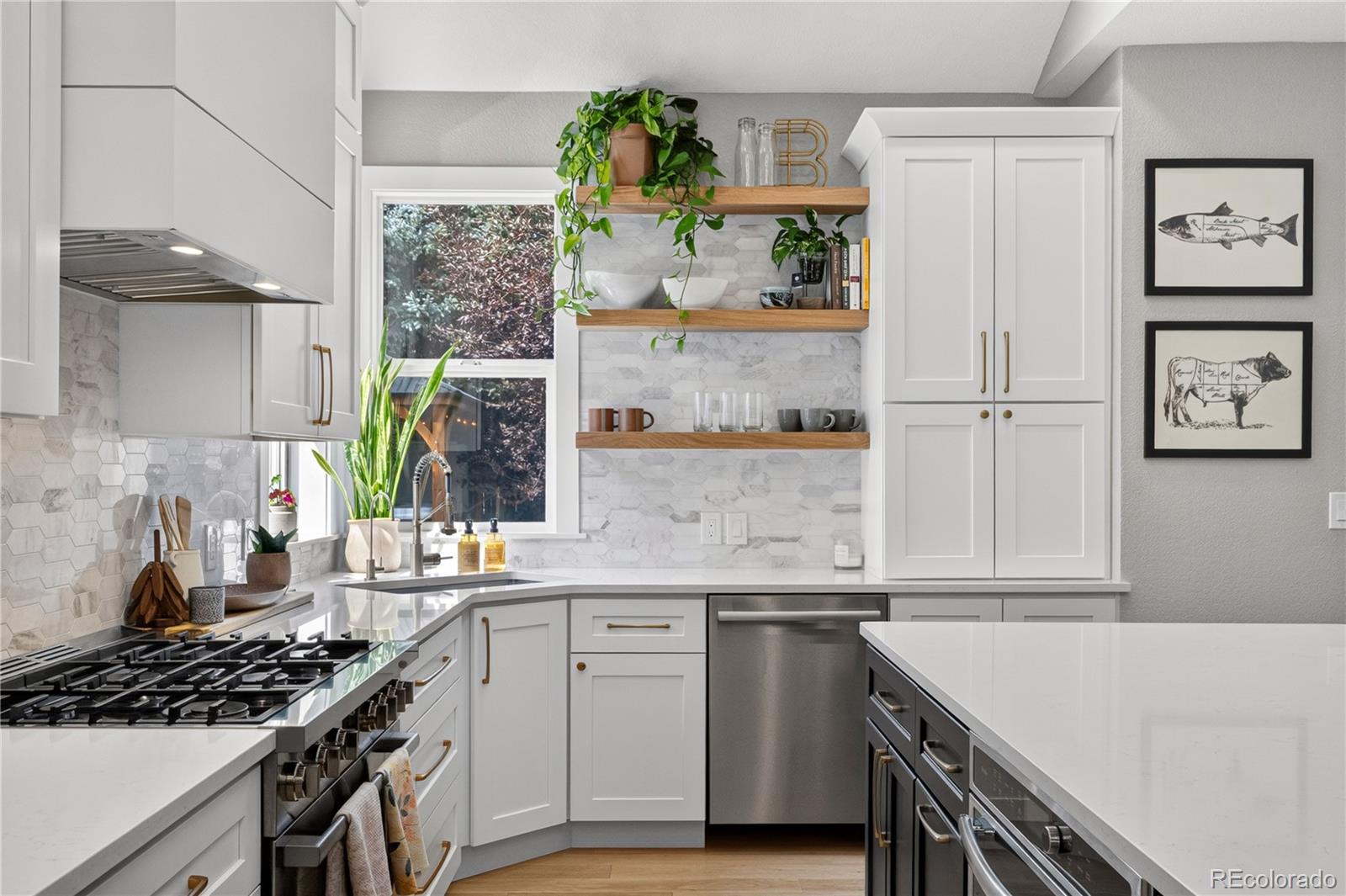 MLS Image #10 for 10965  dearborne drive,parker, Colorado