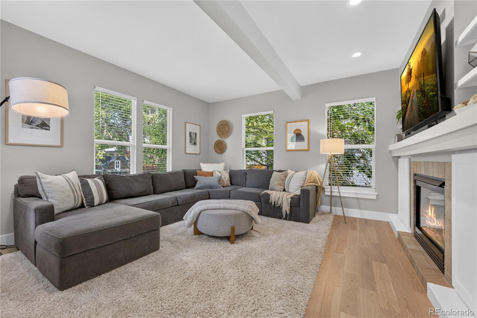 MLS Image #13 for 10965  dearborne drive,parker, Colorado