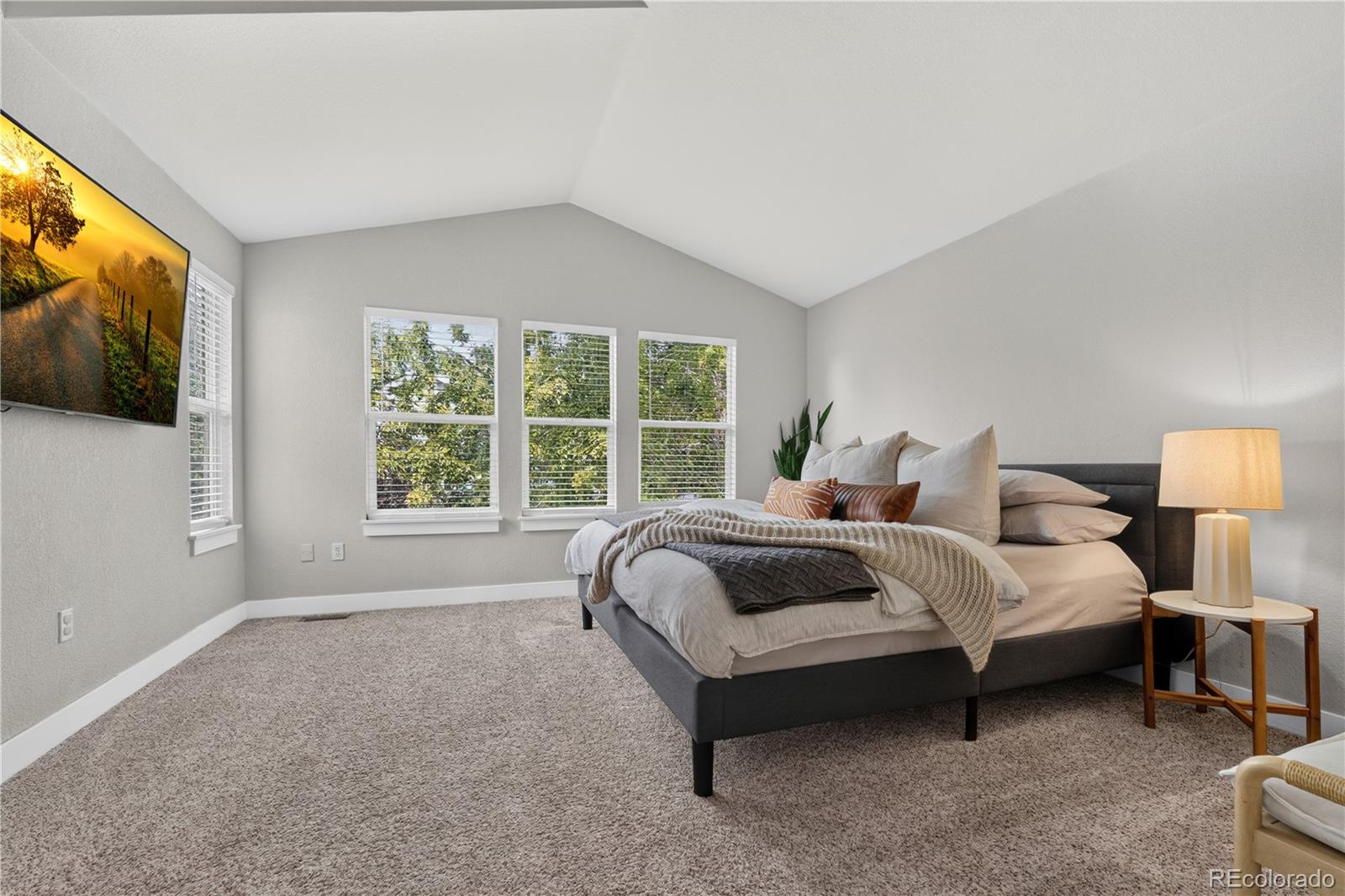 MLS Image #17 for 10965  dearborne drive,parker, Colorado