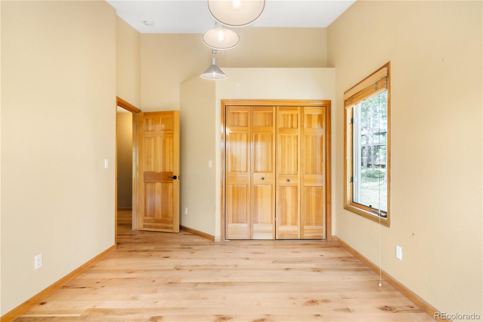 MLS Image #22 for 28119  tall pines lane,conifer, Colorado