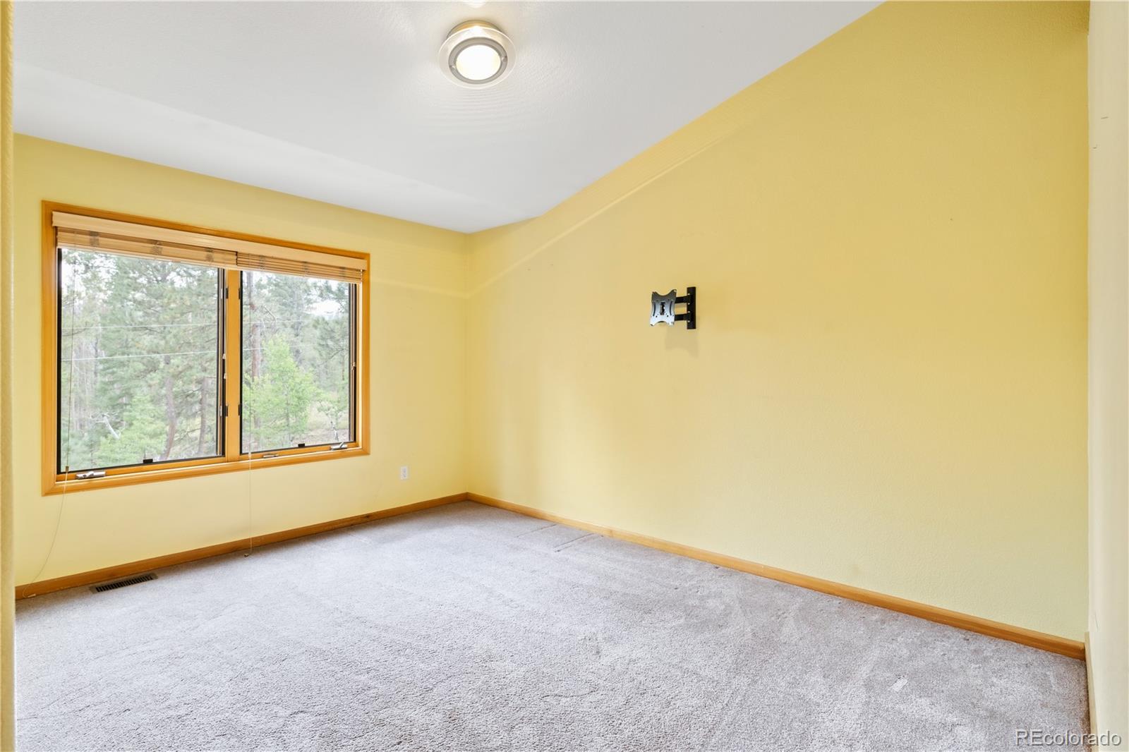 MLS Image #24 for 28119  tall pines lane,conifer, Colorado
