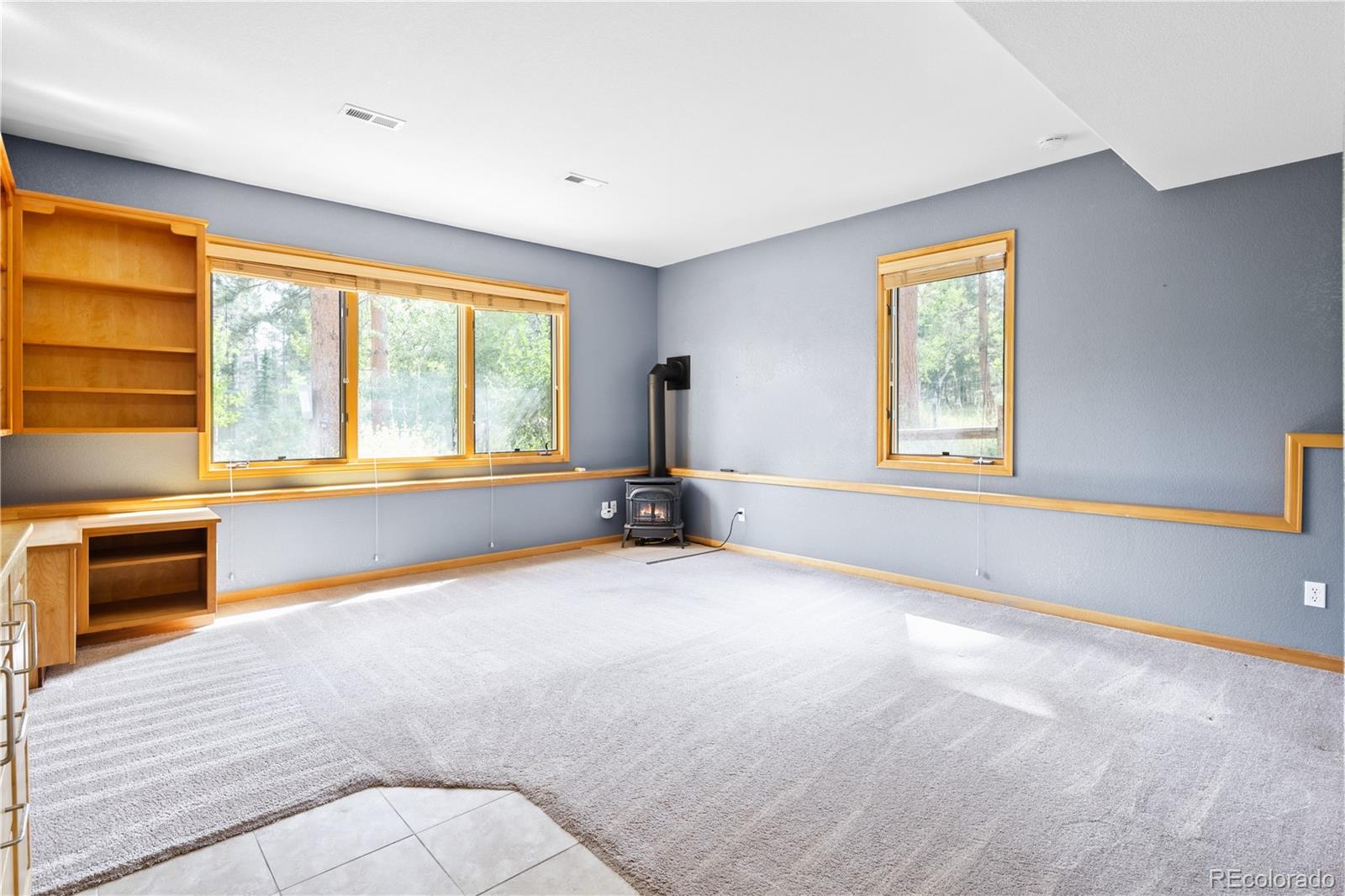 MLS Image #26 for 28119  tall pines lane,conifer, Colorado
