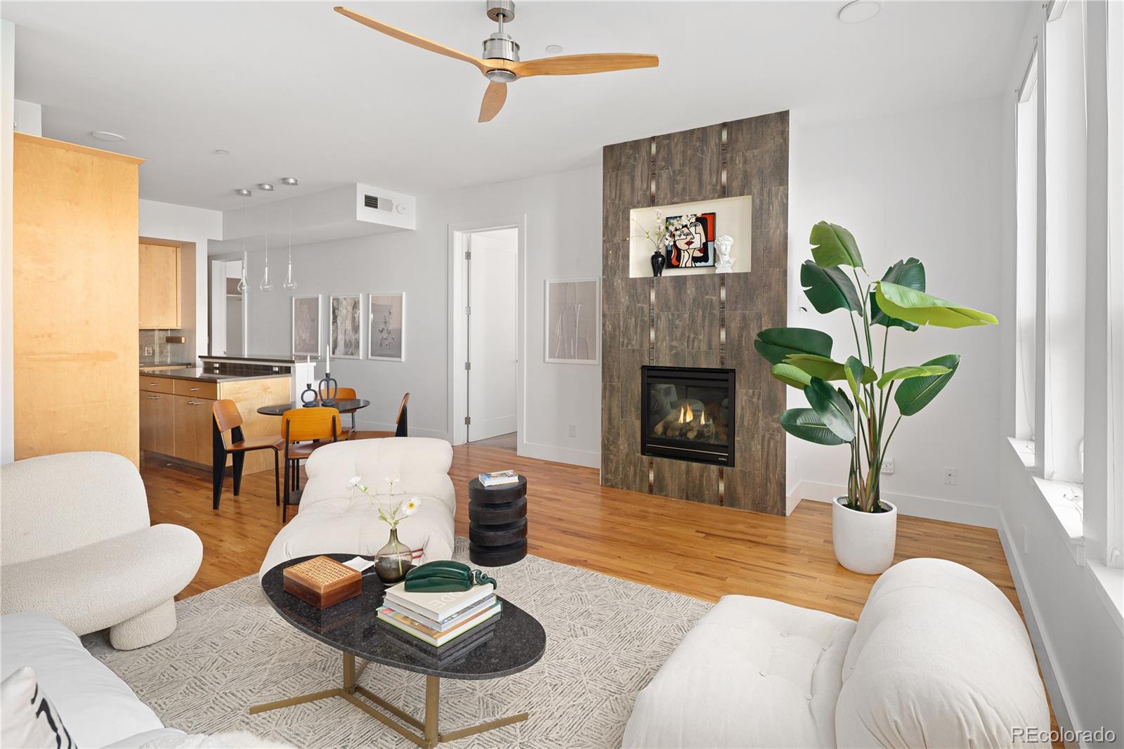 MLS Image #1 for 340 s lafayette street 201,denver, Colorado