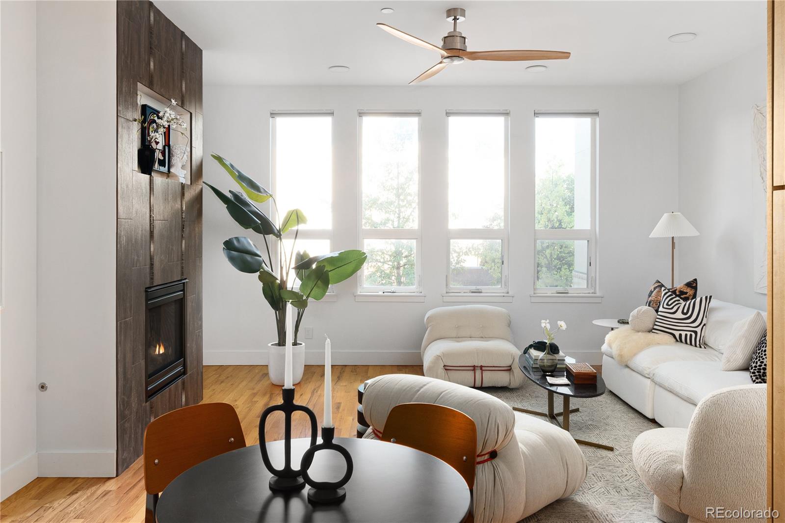 MLS Image #7 for 340 s lafayette street 201,denver, Colorado