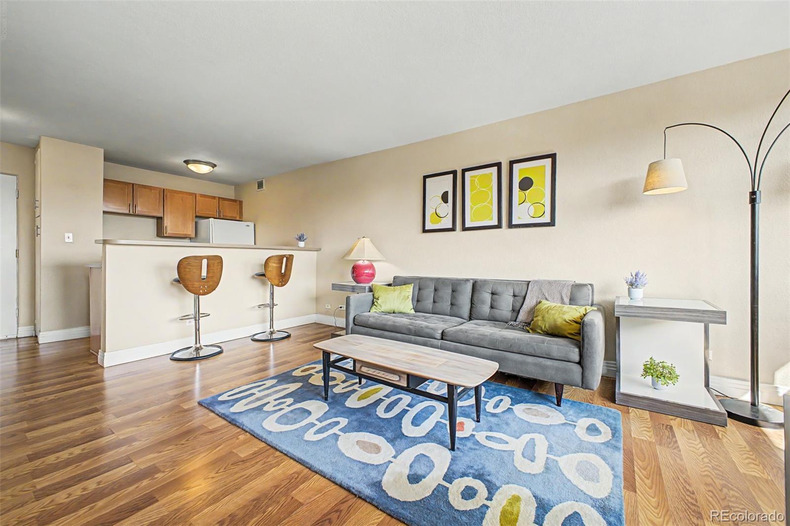 MLS Image #6 for 1196 n grant street,denver, Colorado