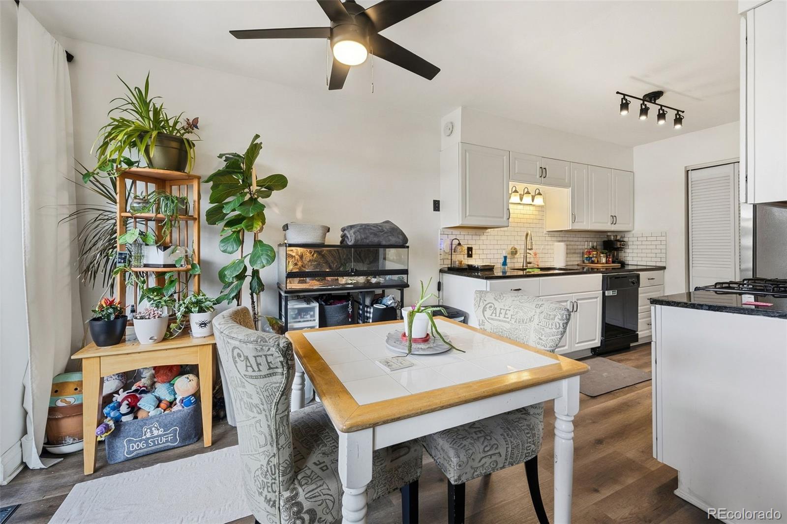 MLS Image #4 for 505  vance street,lakewood, Colorado