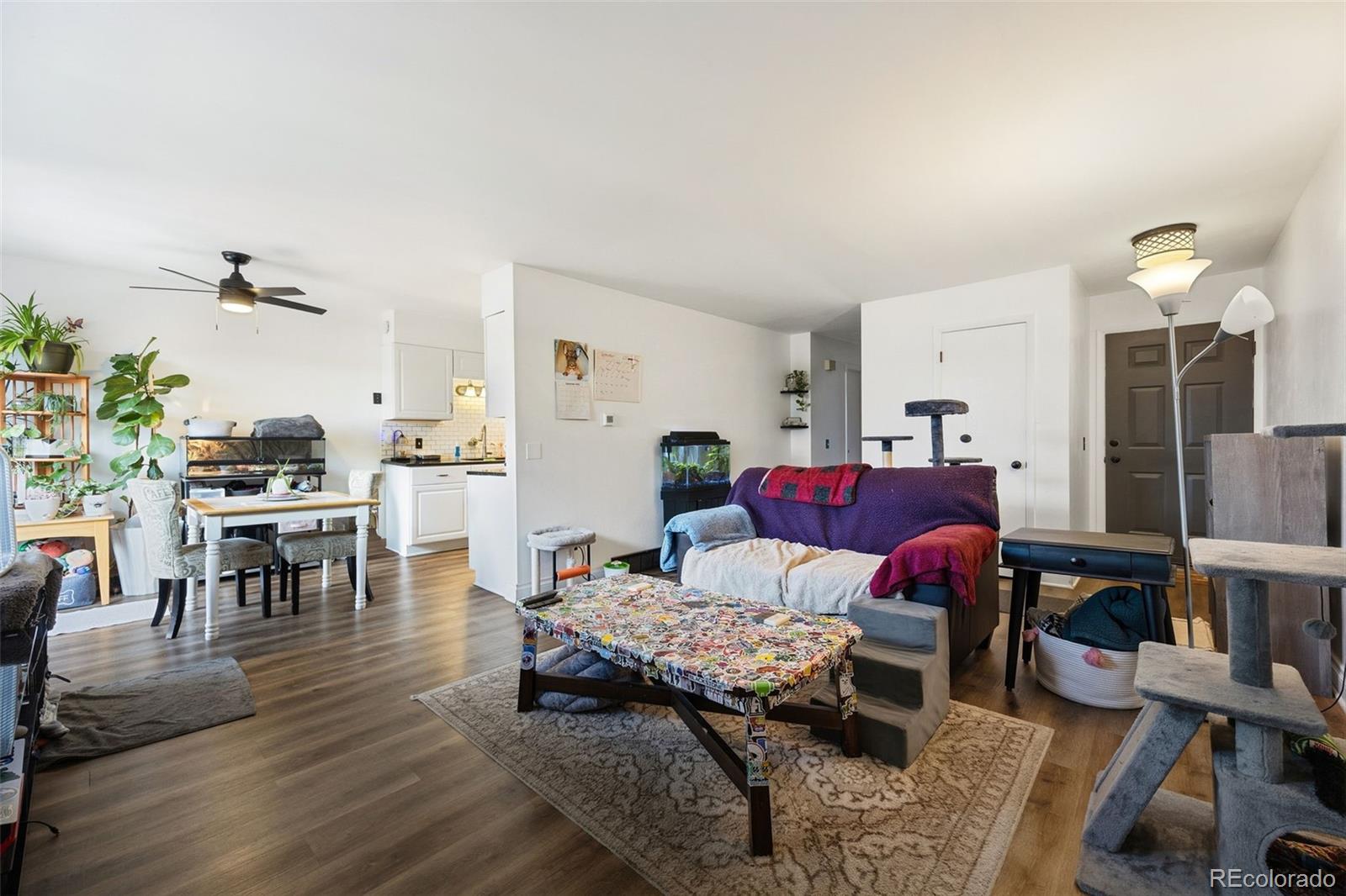 MLS Image #6 for 505  vance street,lakewood, Colorado