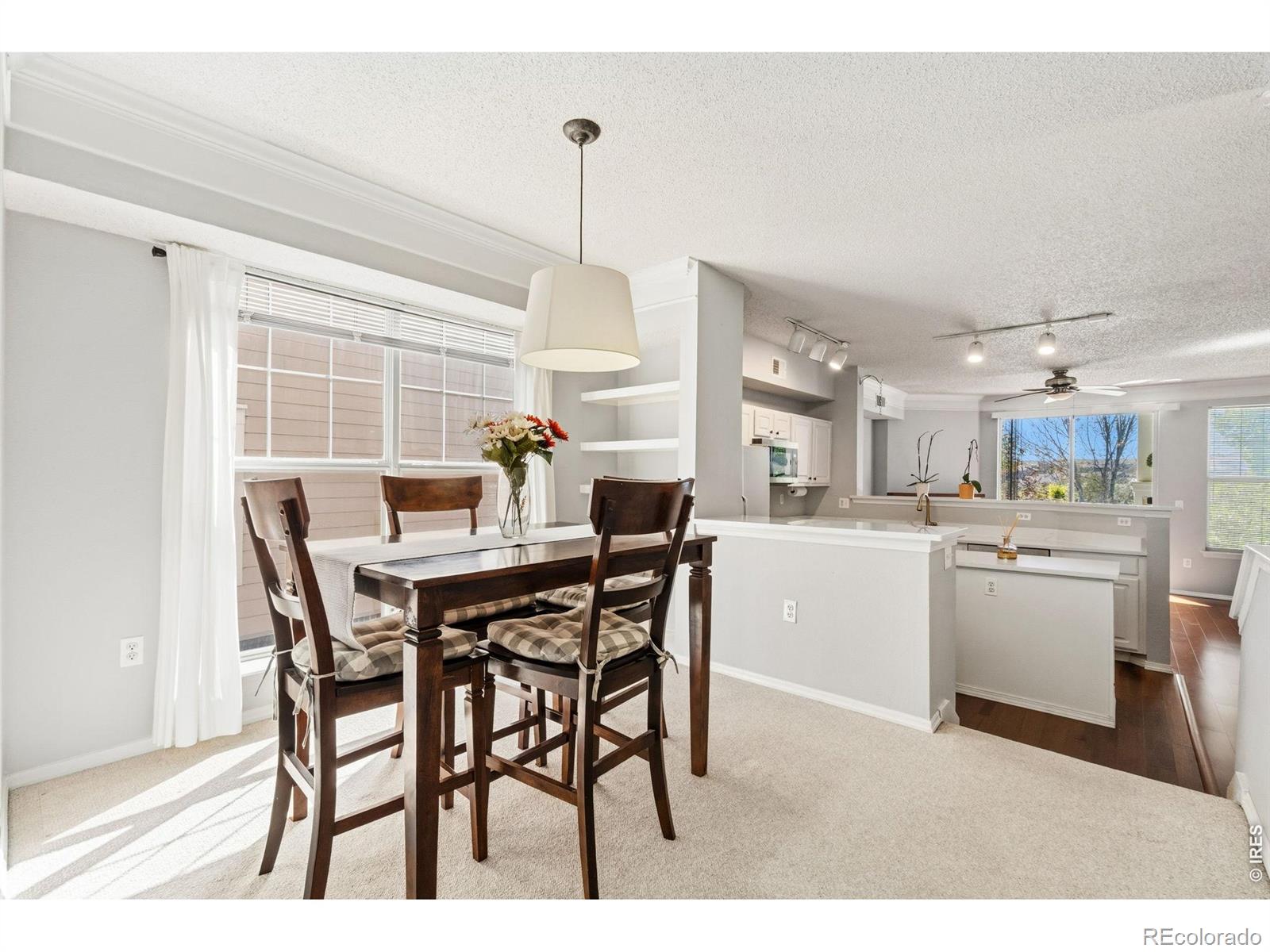 MLS Image #16 for 1836  mallard drive,superior, Colorado