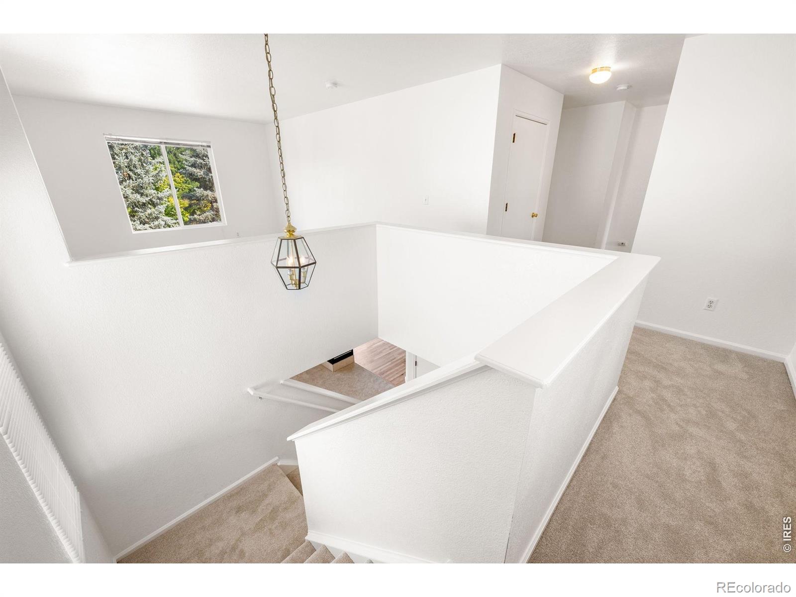 MLS Image #18 for 1615  holeman drive,erie, Colorado