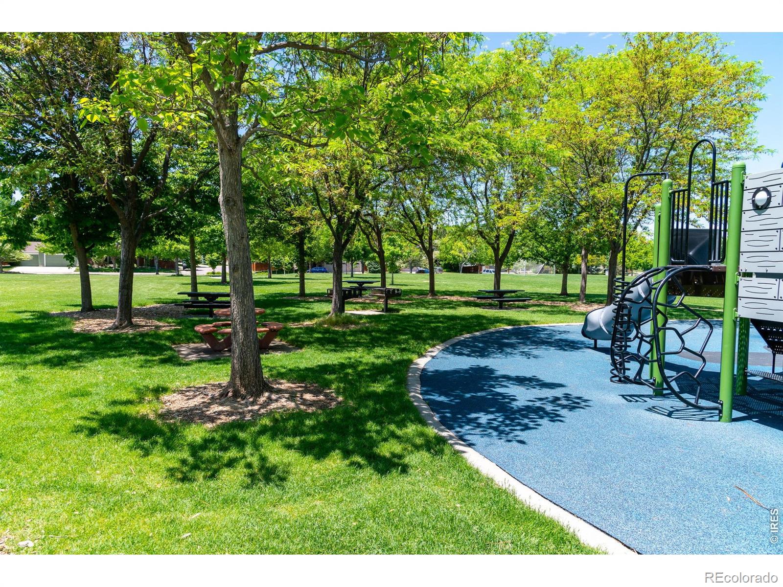 MLS Image #36 for 1615  holeman drive,erie, Colorado