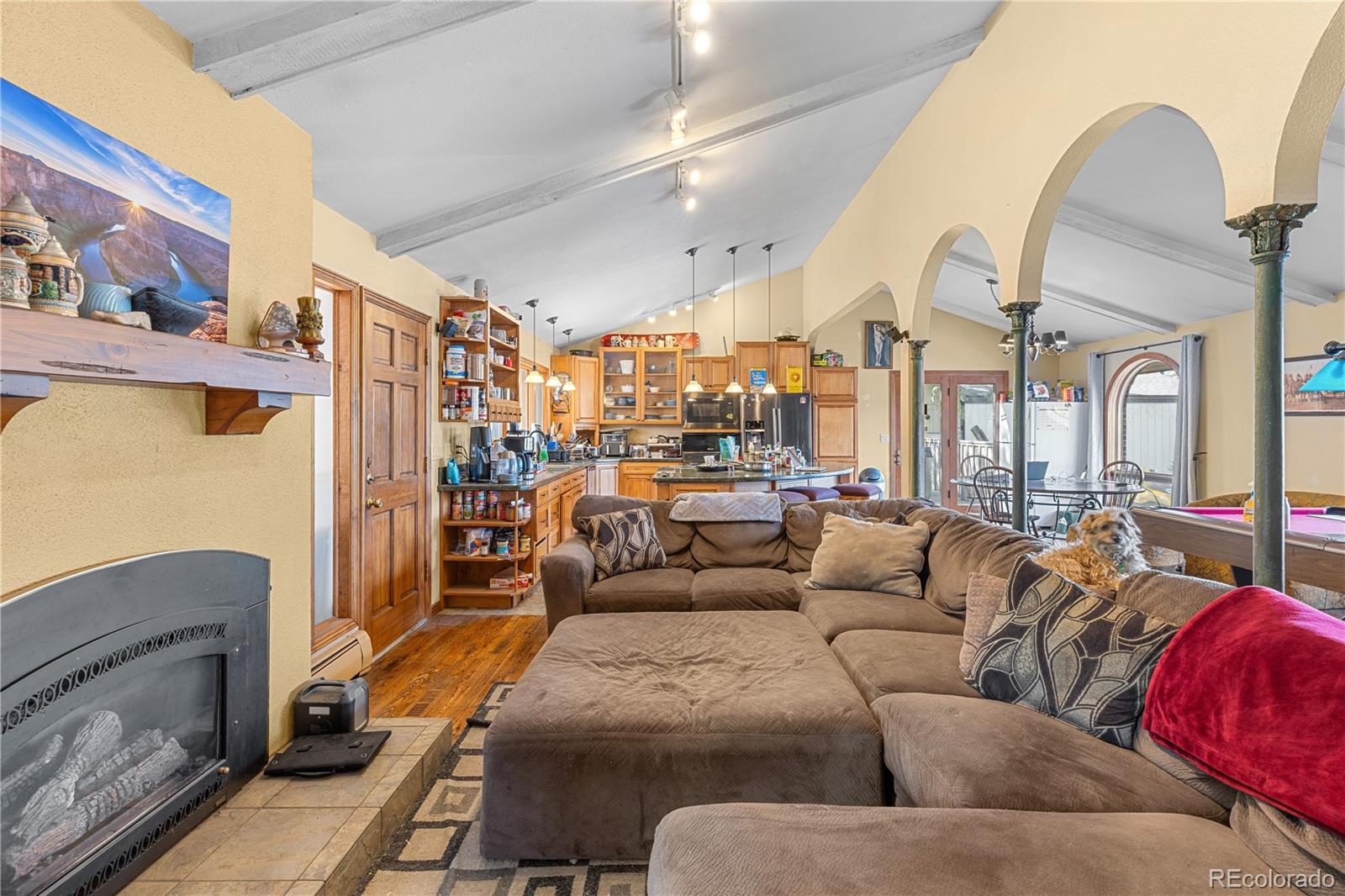 MLS Image #10 for 208  deer path road,dillon, Colorado