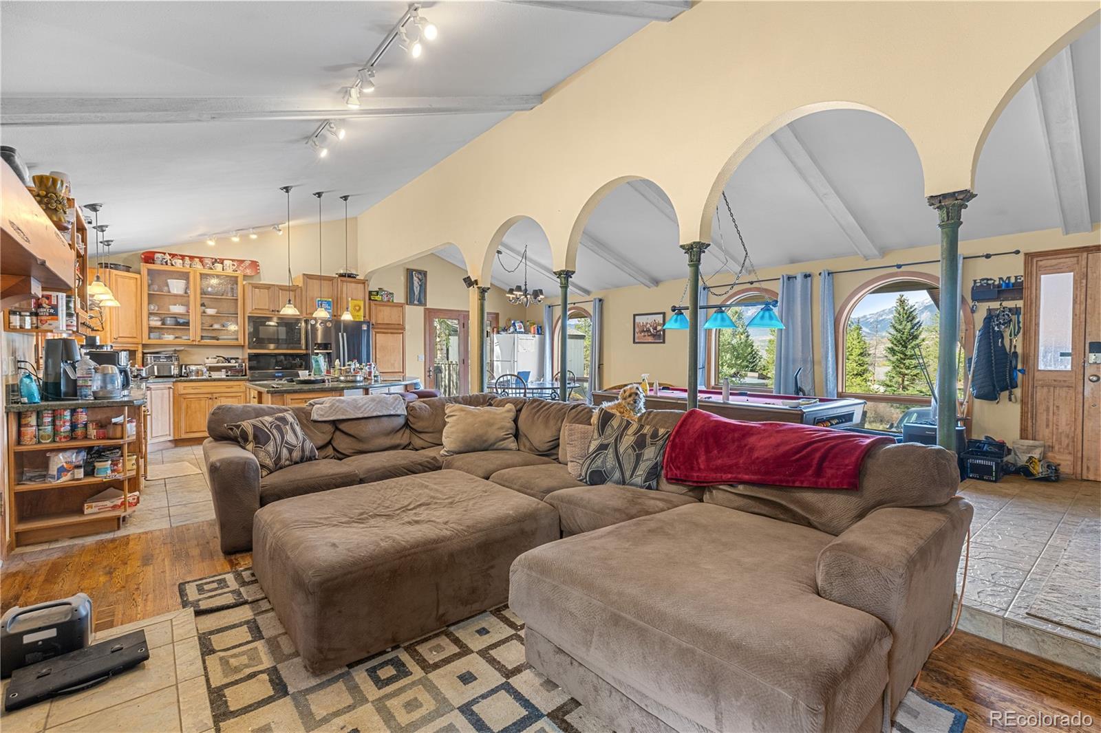 MLS Image #11 for 208  deer path road,dillon, Colorado