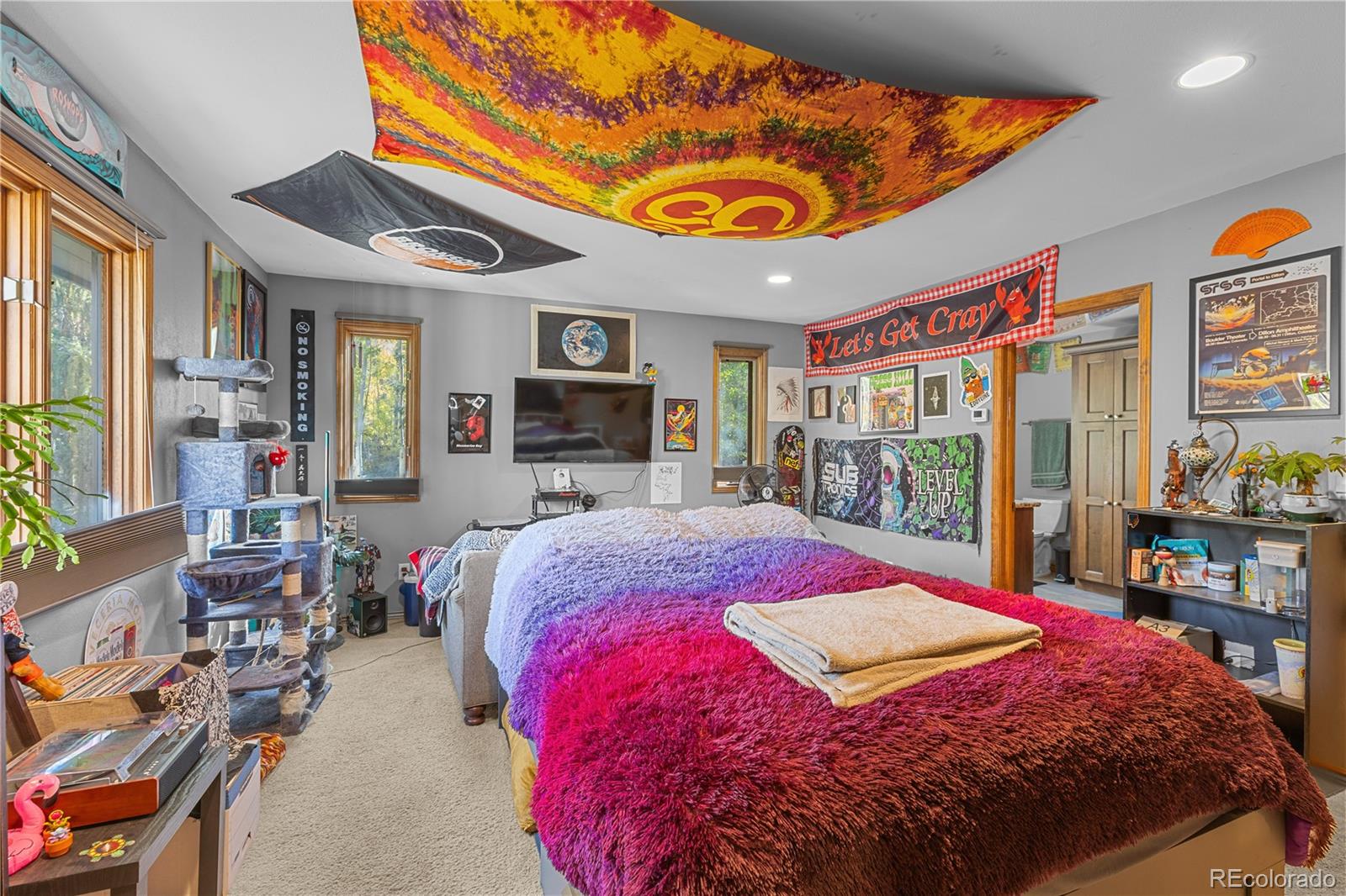 MLS Image #21 for 208  deer path road,dillon, Colorado