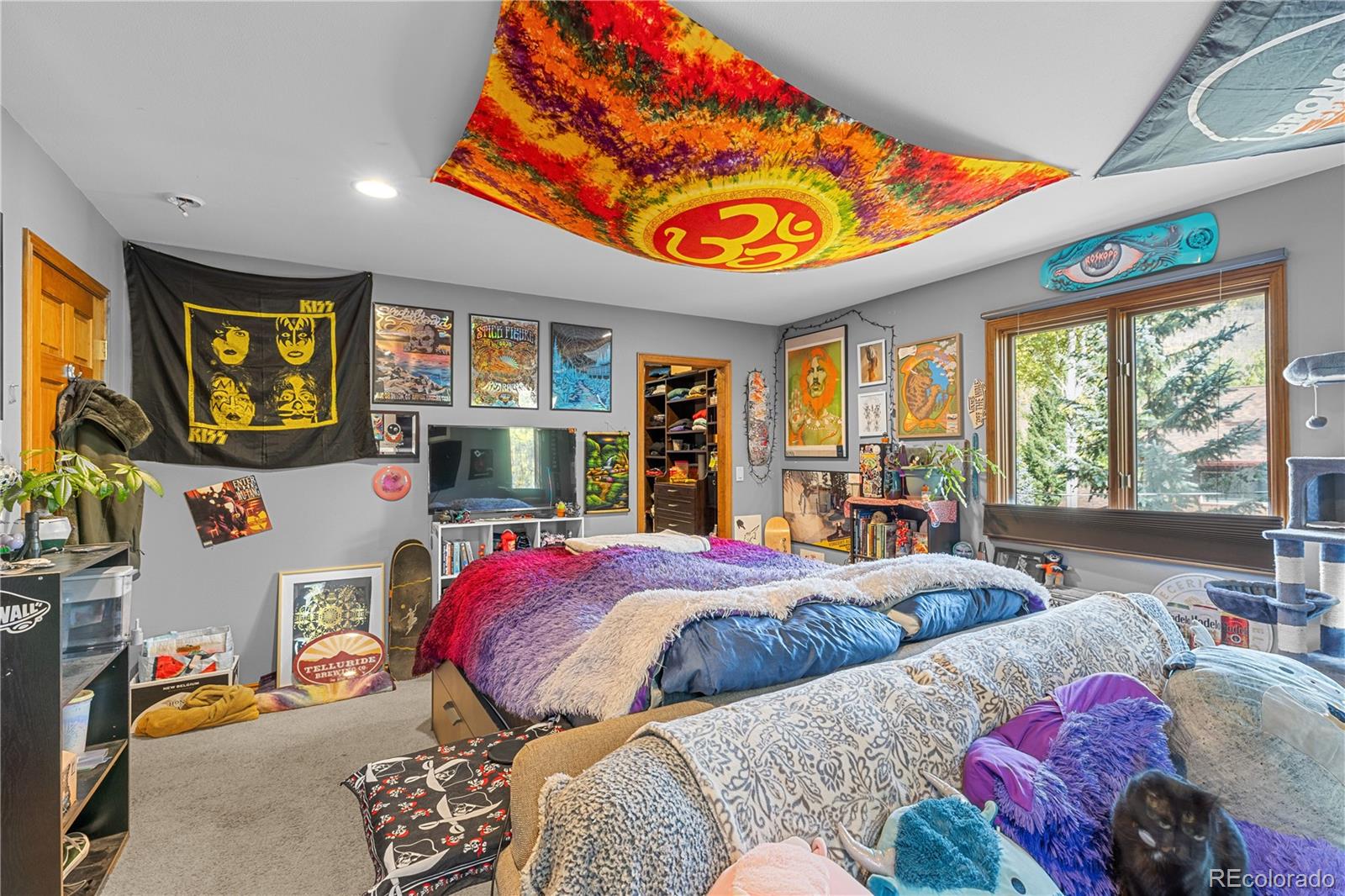 MLS Image #22 for 208  deer path road,dillon, Colorado