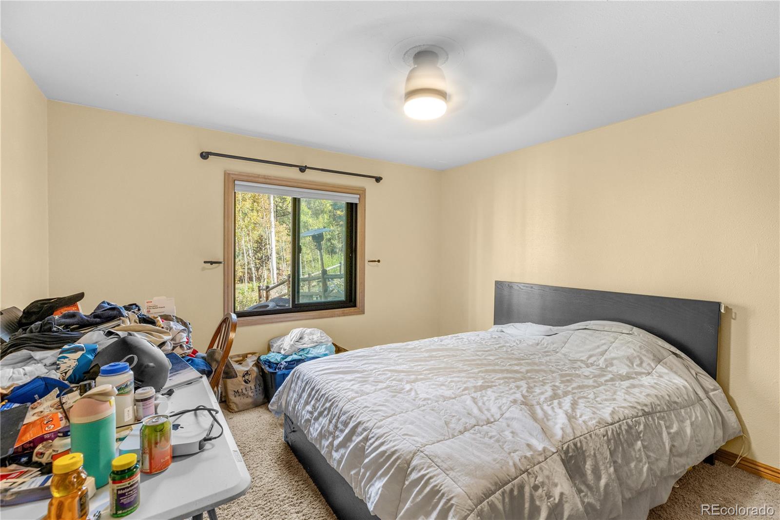 MLS Image #31 for 208  deer path road,dillon, Colorado