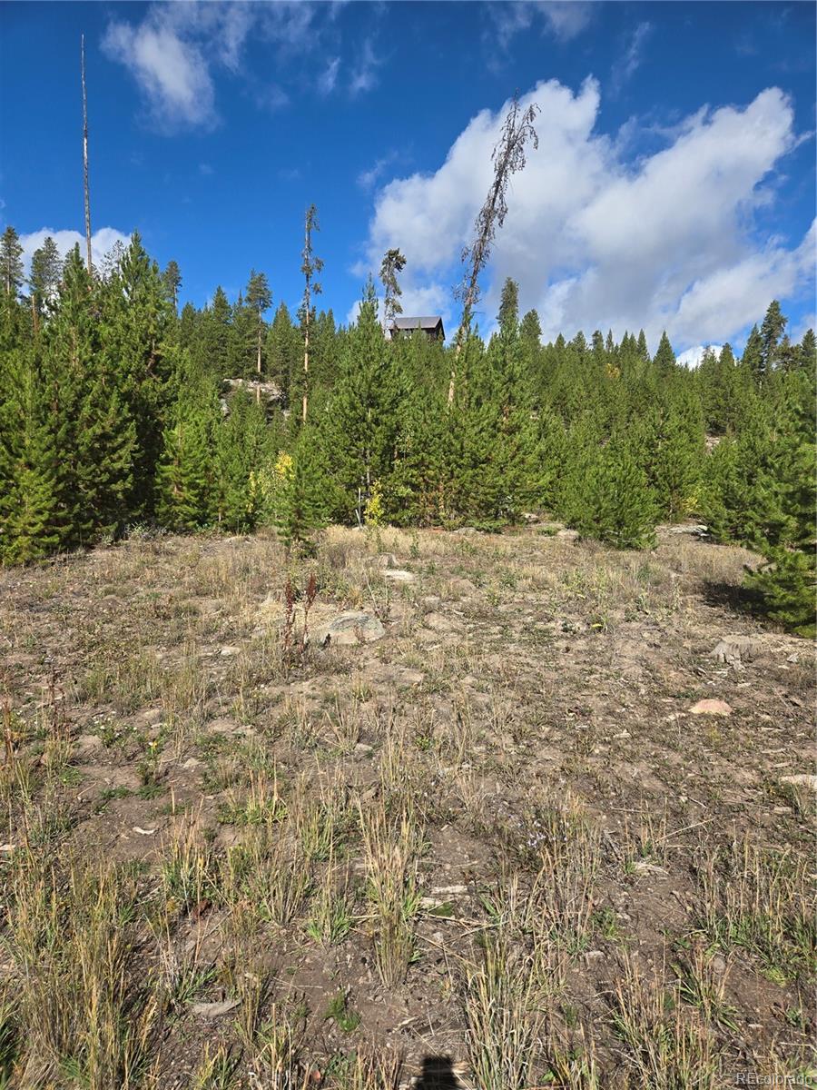 MLS Image #20 for 69  county road 4652 ,grand lake, Colorado