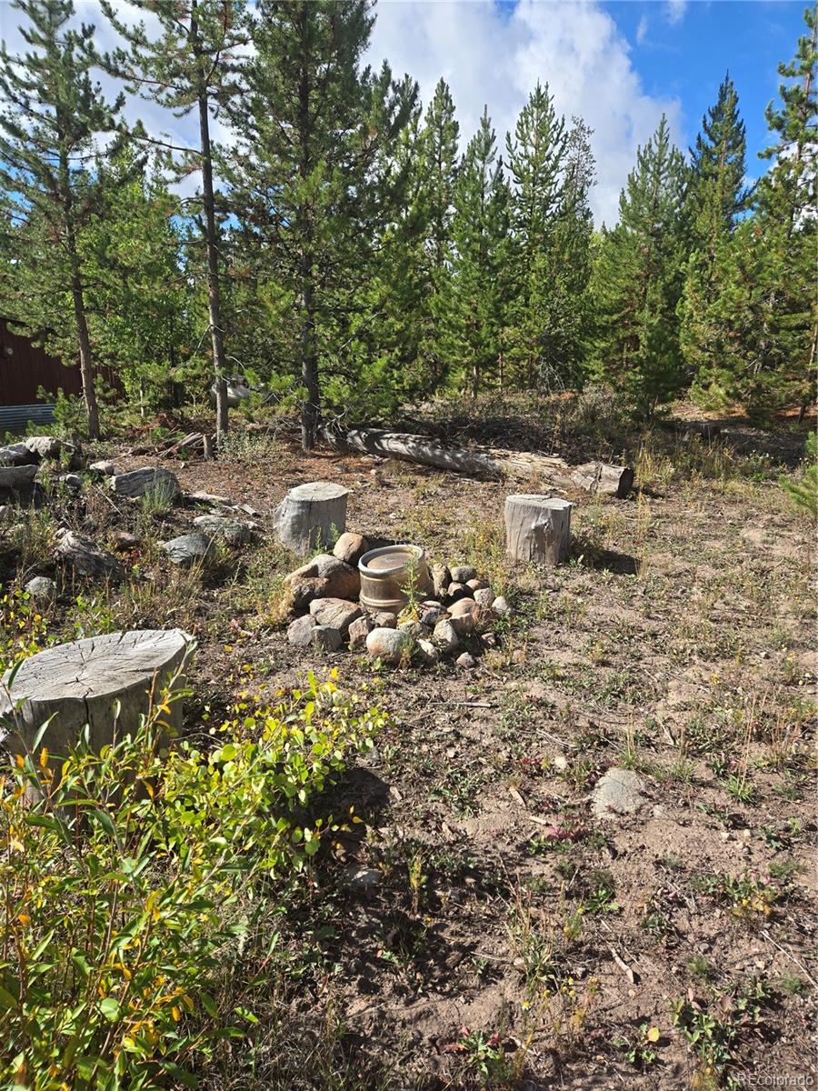 MLS Image #21 for 69  county road 4652 ,grand lake, Colorado
