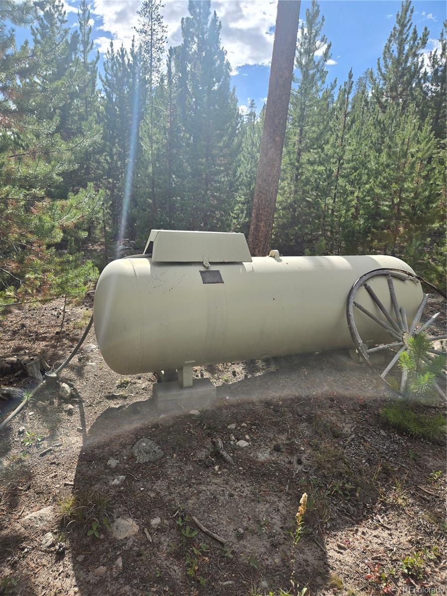MLS Image #4 for 69  county road 4652 ,grand lake, Colorado