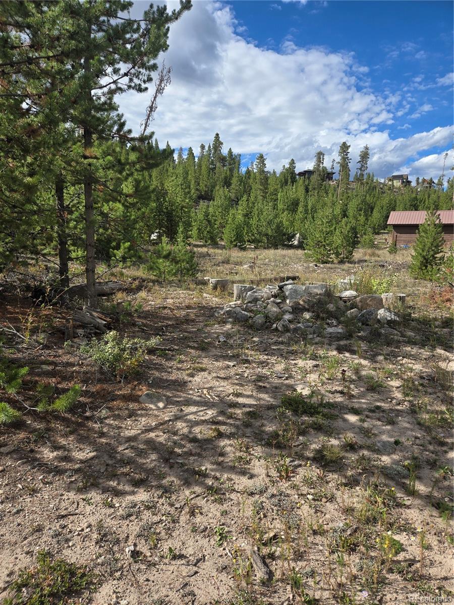 MLS Image #6 for 69  county road 4652 ,grand lake, Colorado