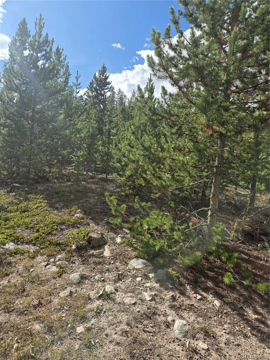 MLS Image #7 for 69  county road 4652 ,grand lake, Colorado